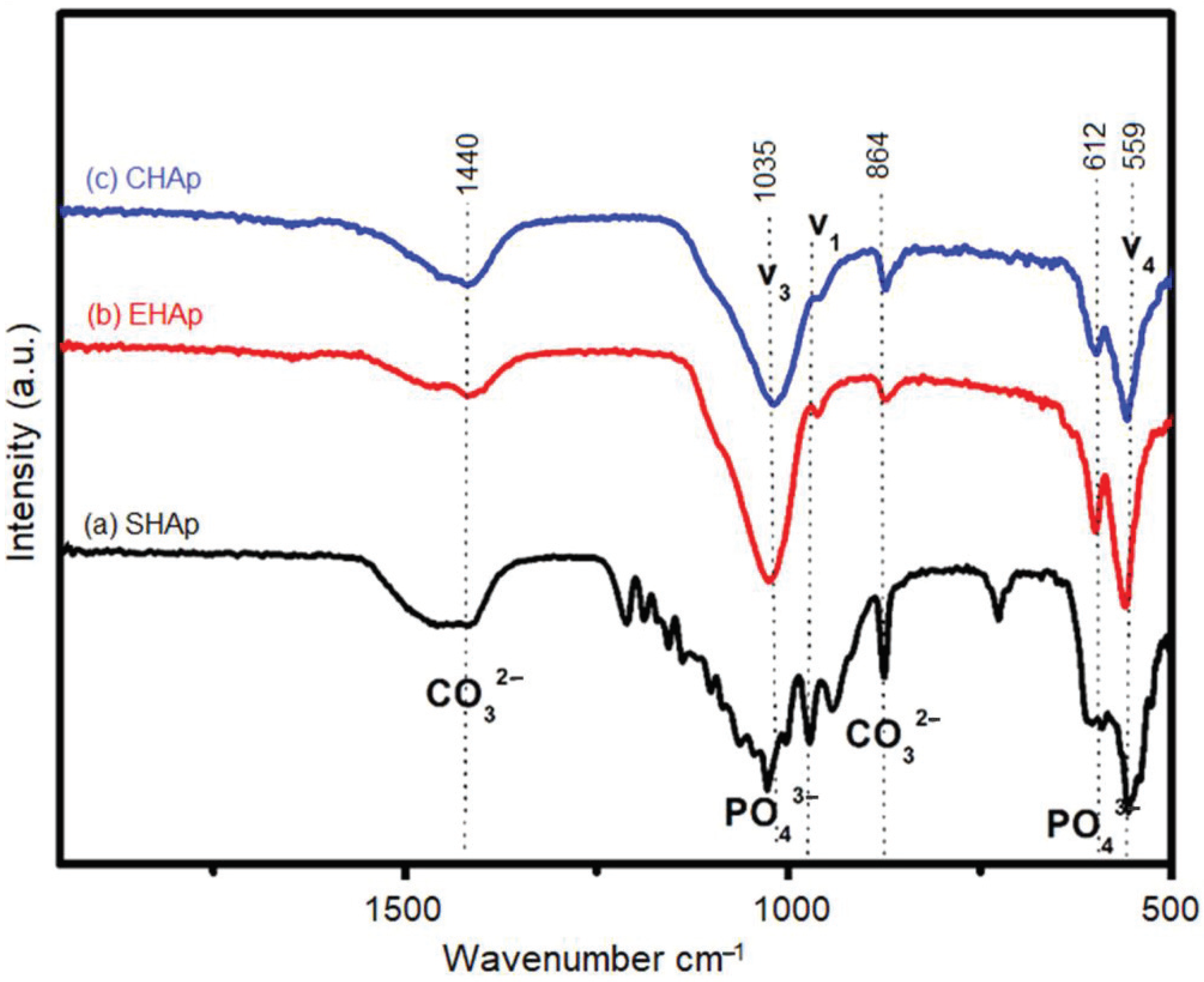 Minerals 11 01390 g001