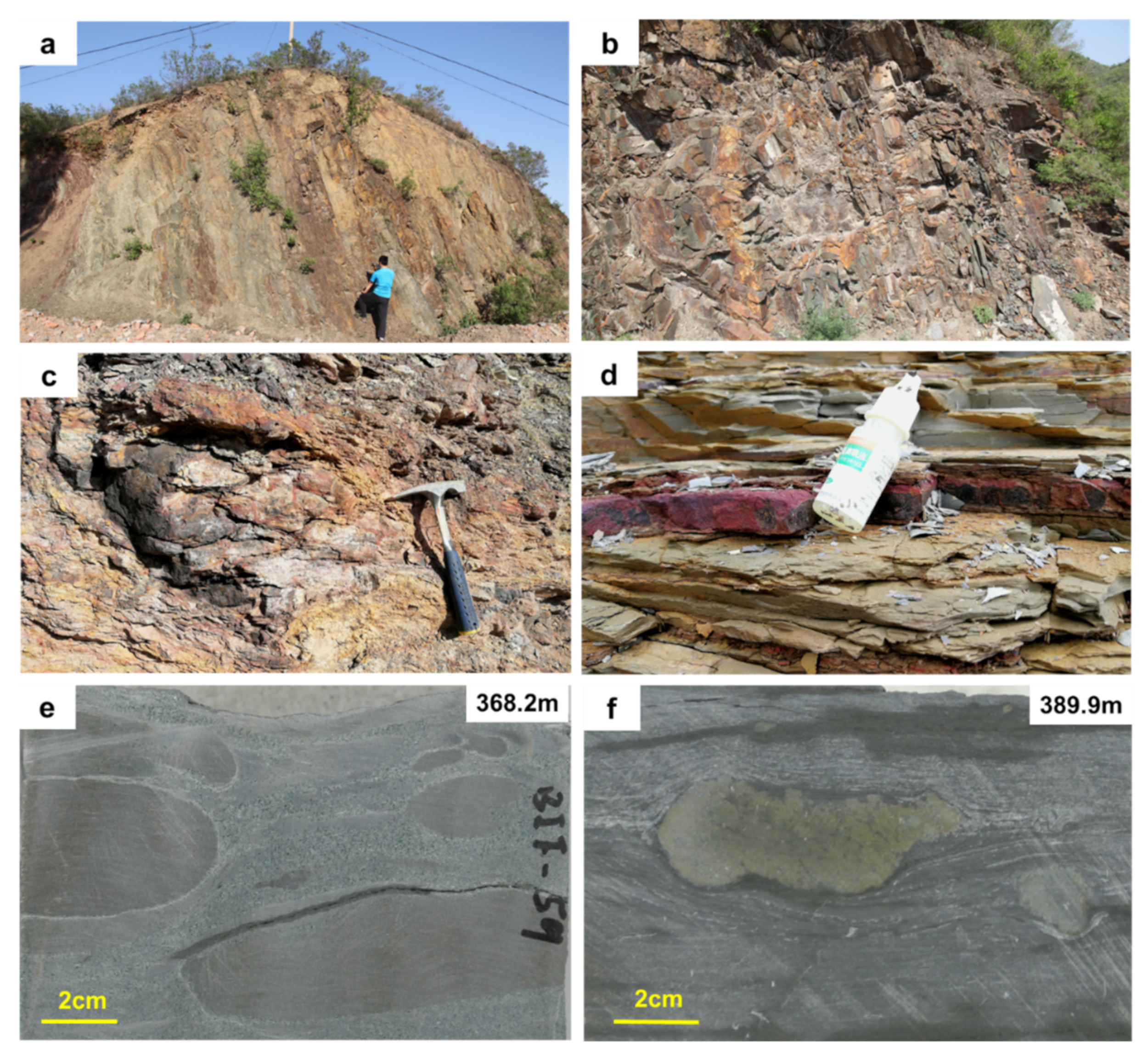 Minerals 11 01395 g002 Minerals 11 01395 g002