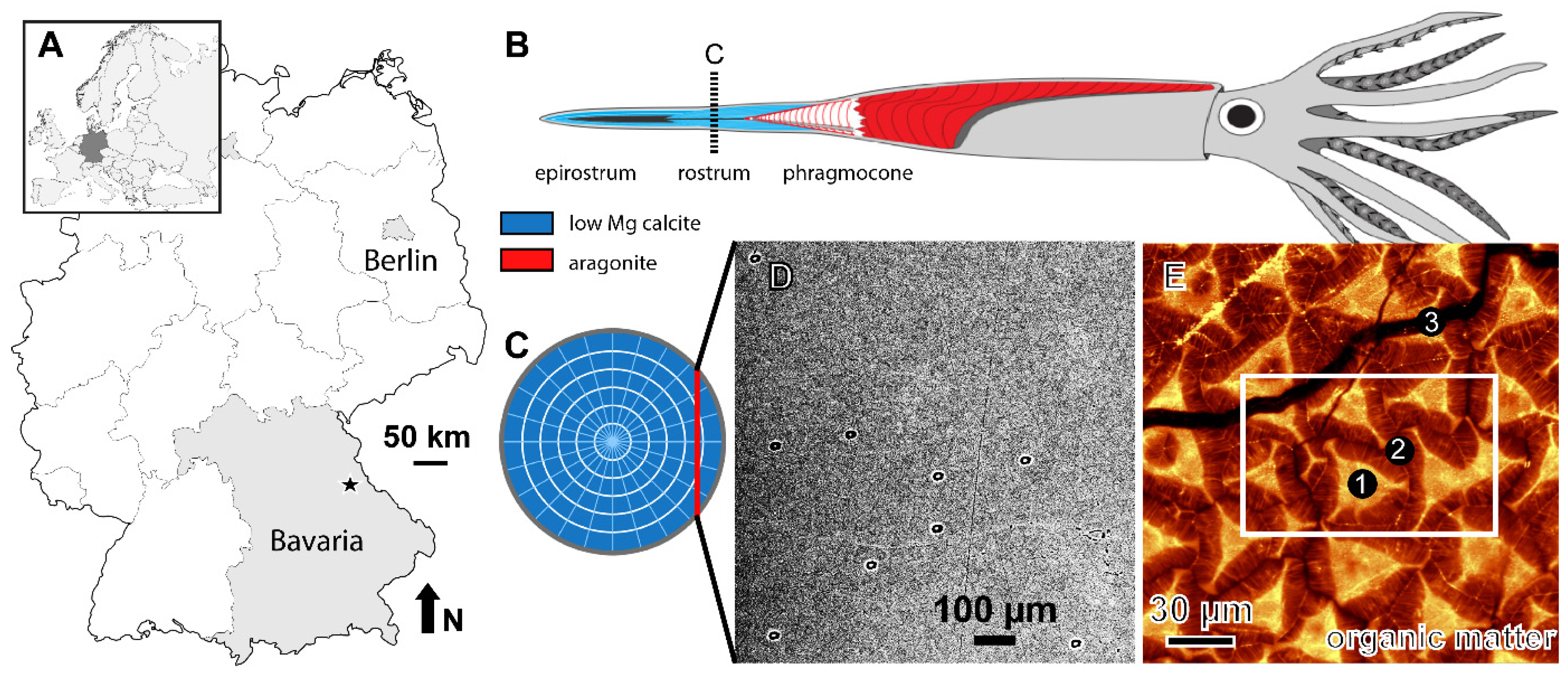Minerals 11 01406 g001 Minerals 11 01406 g001