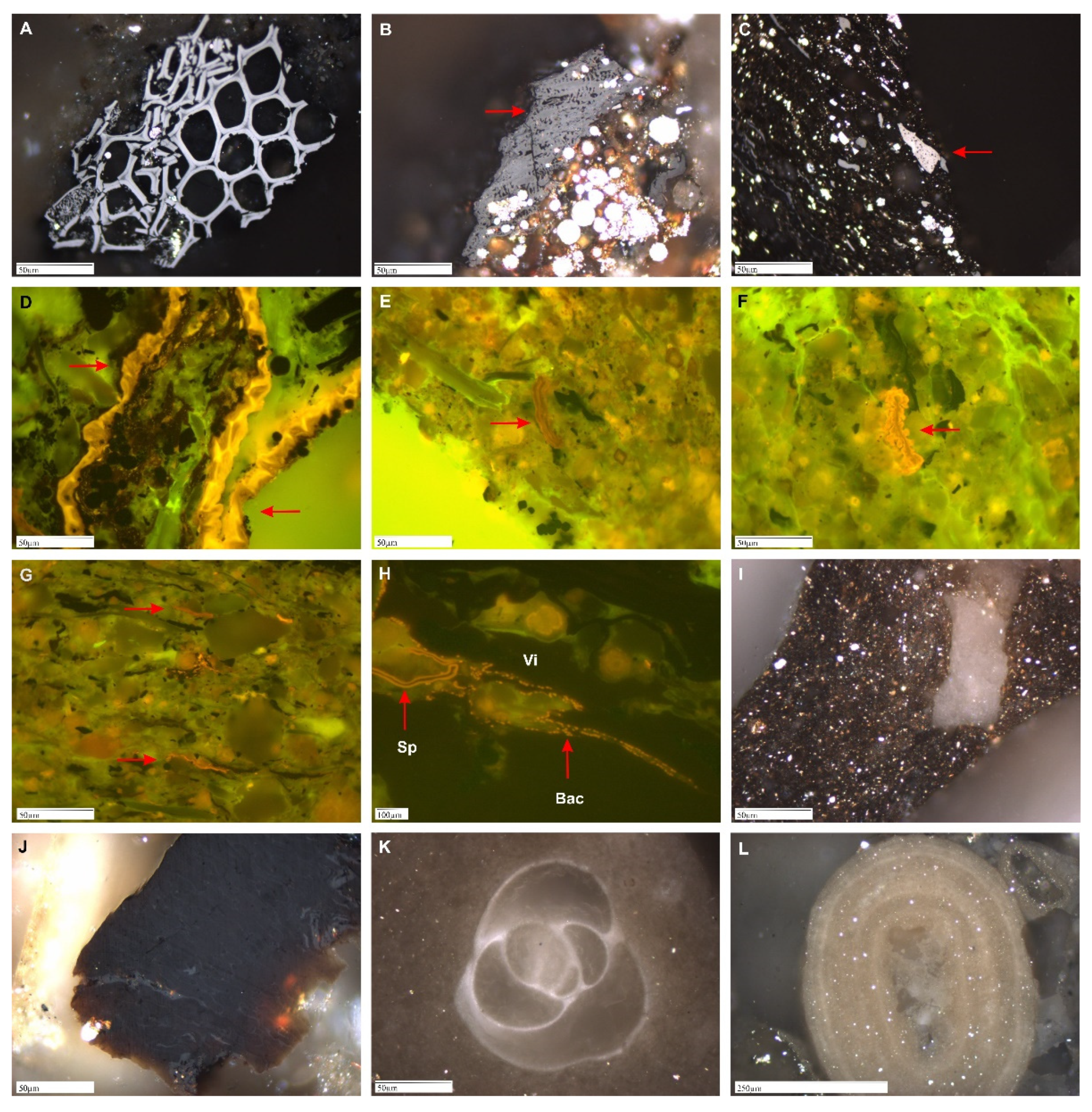 Minerals 11 01415 g002