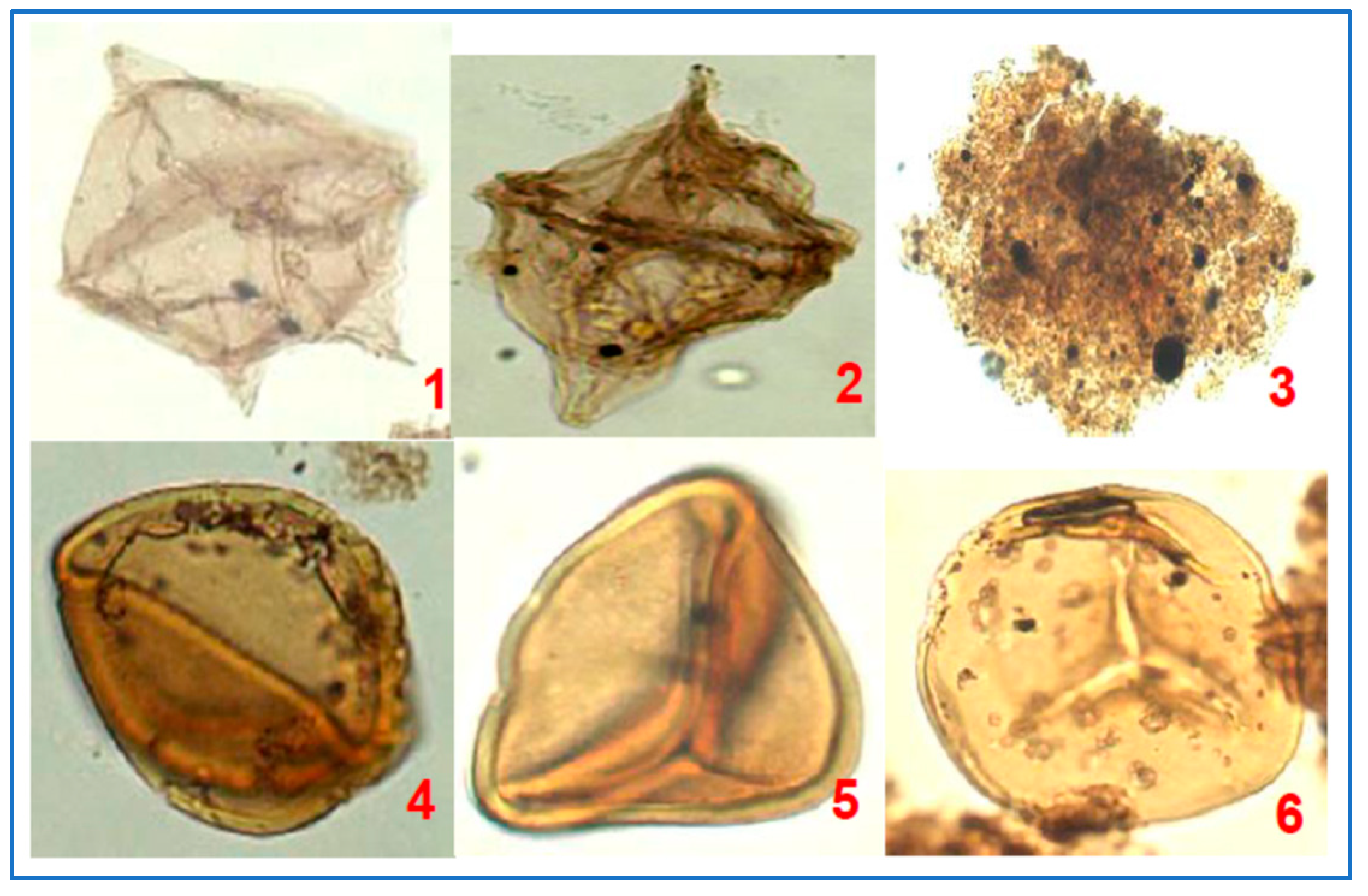 Minerals 11 01416 g010