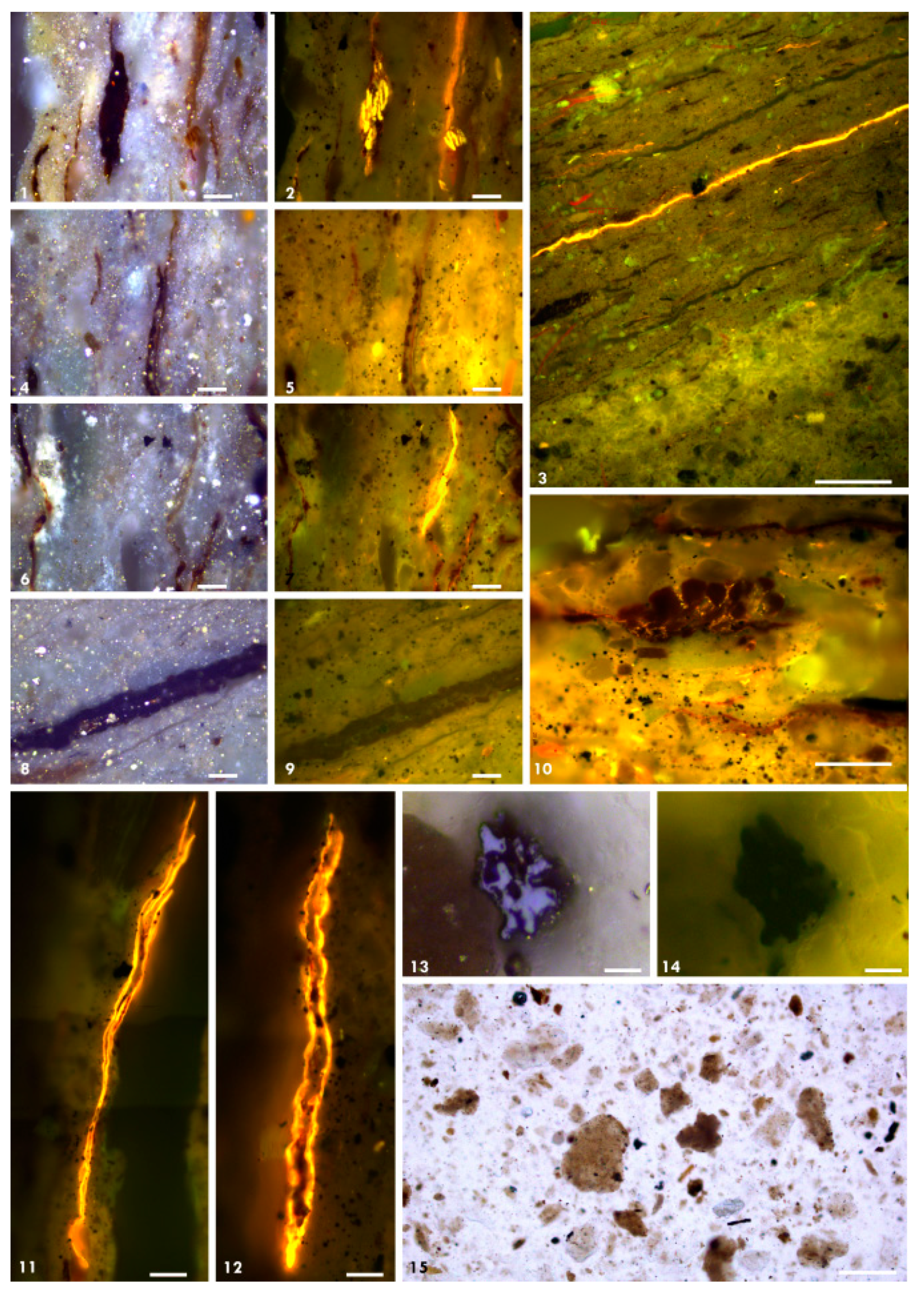 Minerals 11 01416 g011