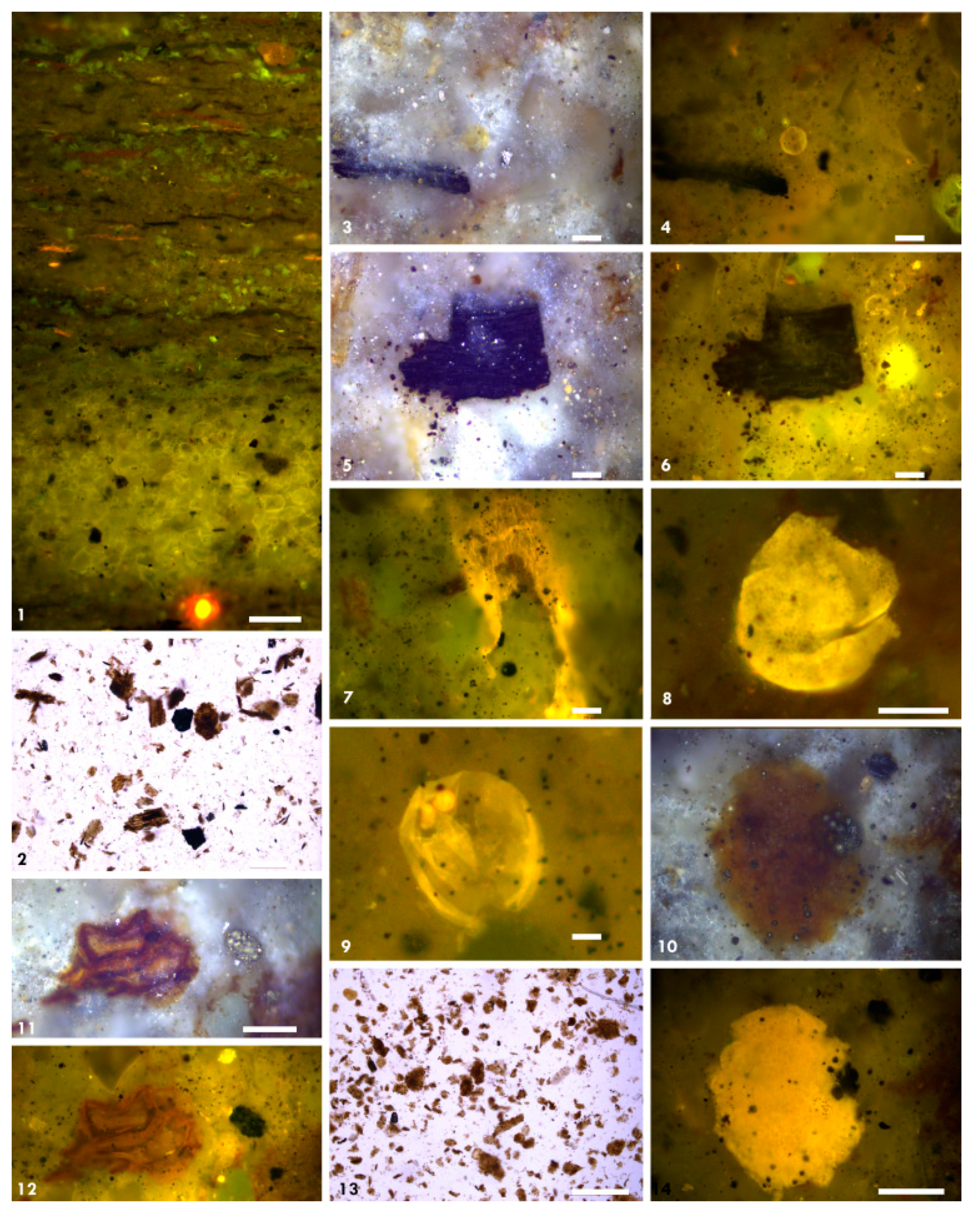 Minerals 11 01416 g012