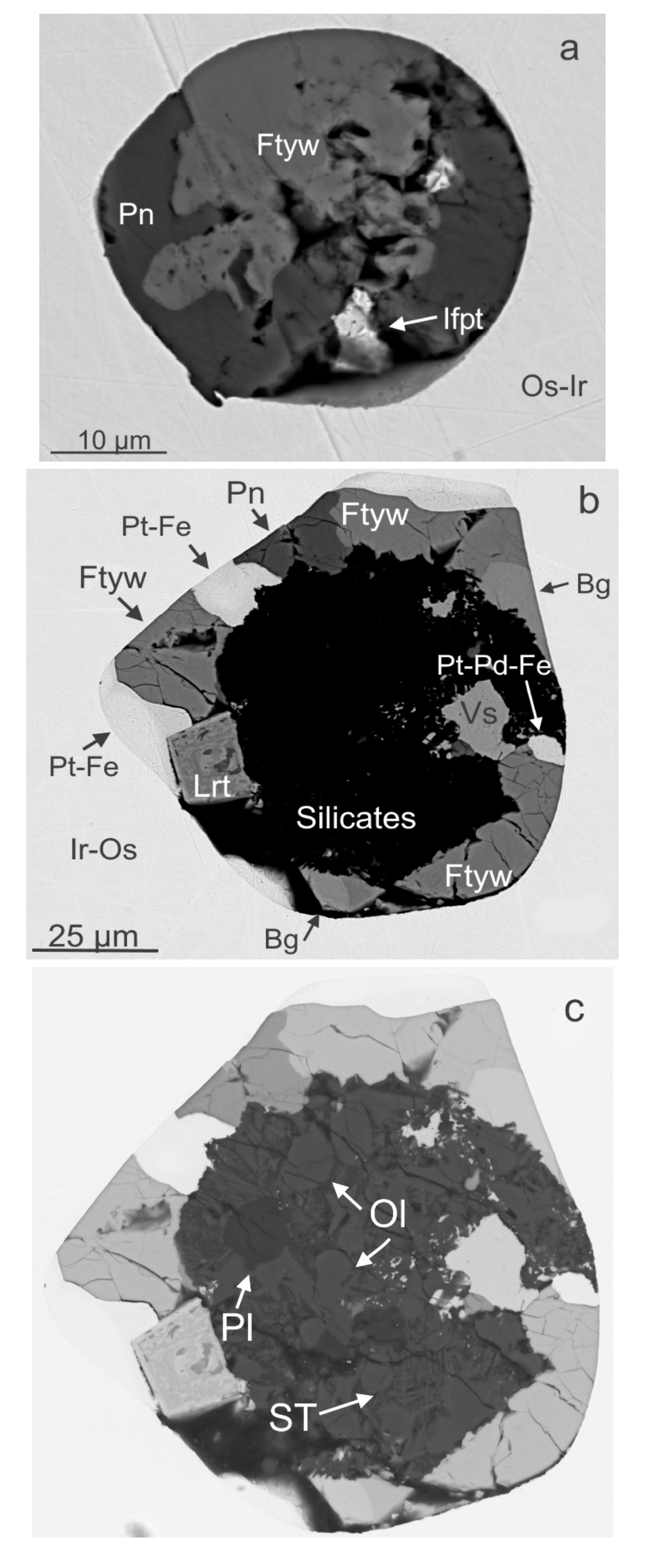 Minerals 11 01420 g002a