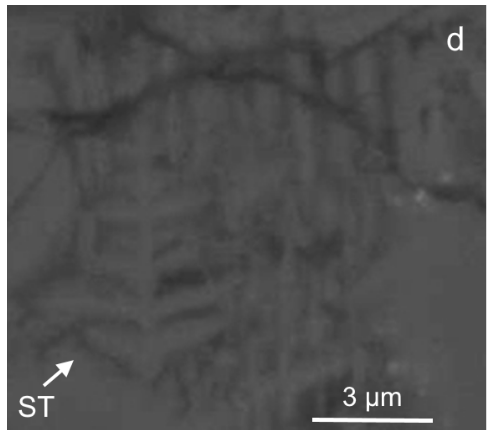Minerals 11 01420 g002b