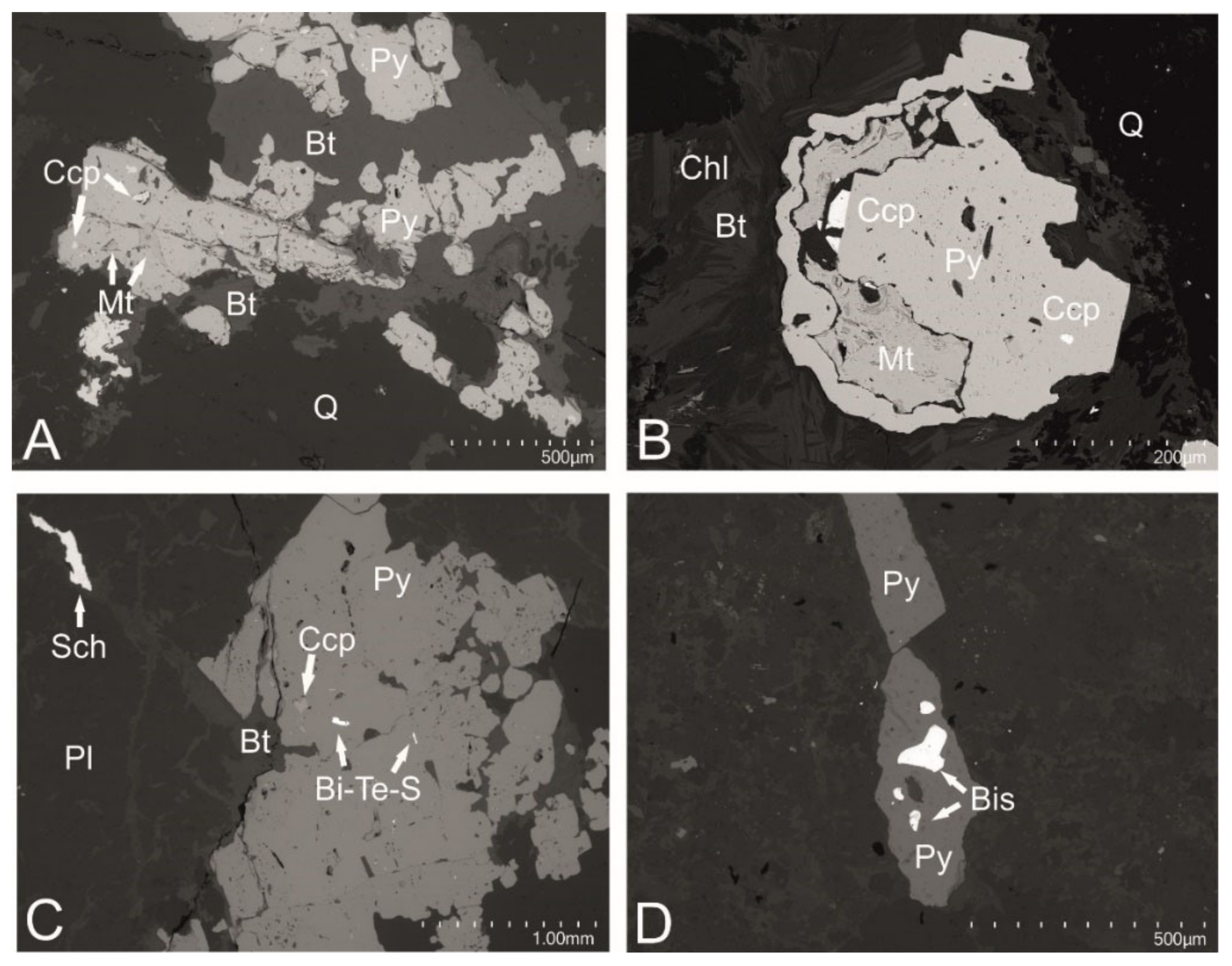 Minerals 11 01426 g002 550