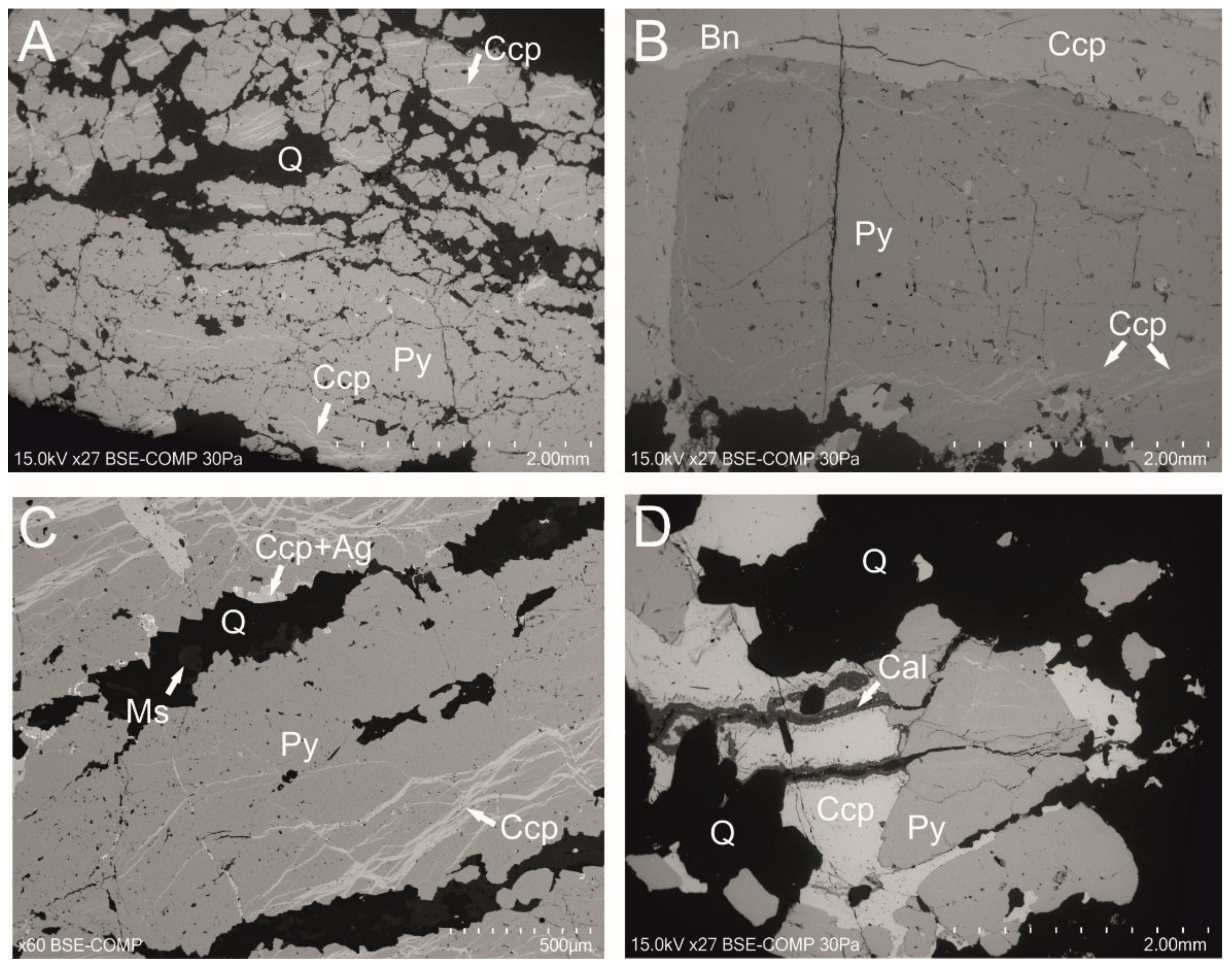 Minerals 11 01426 g004 550