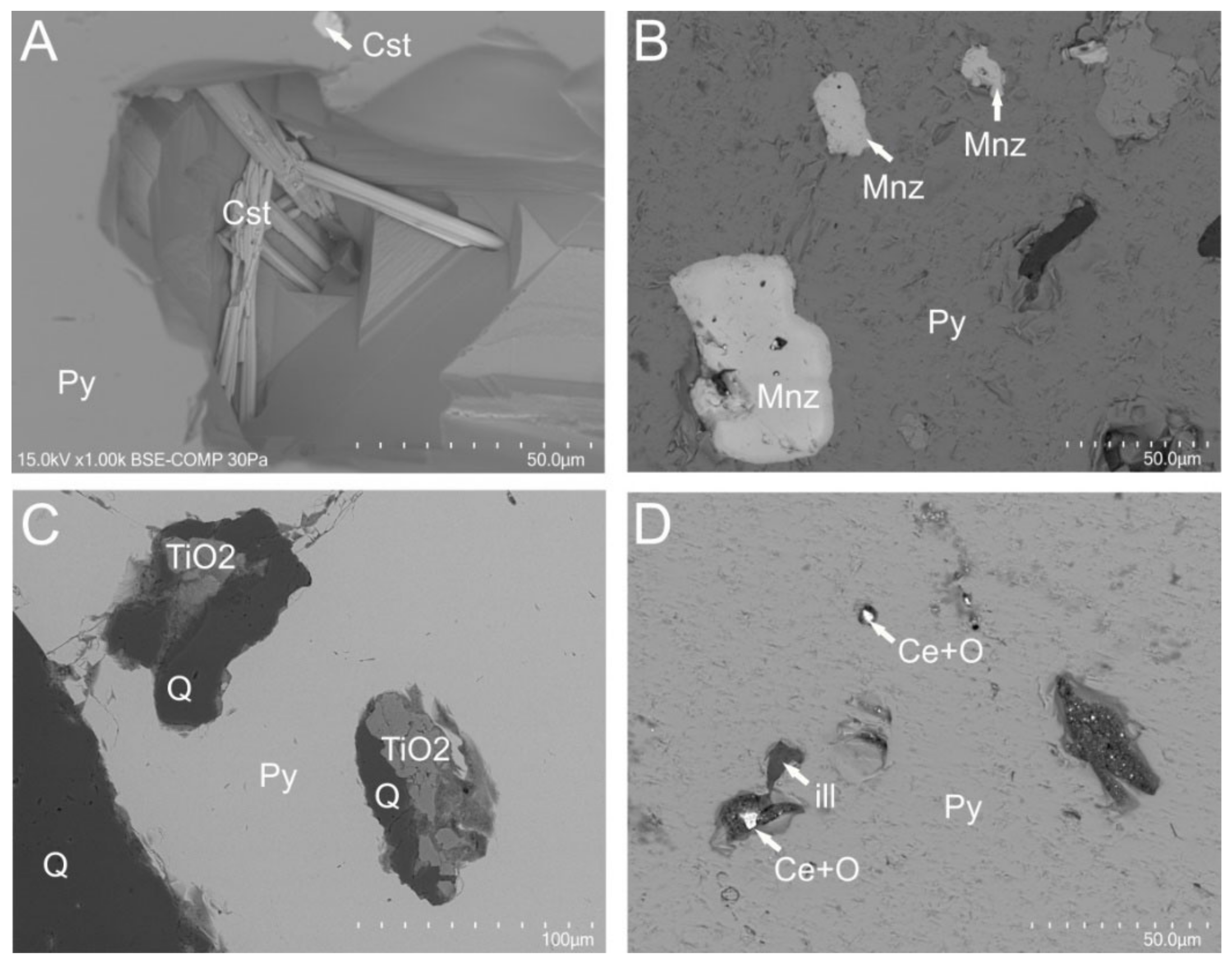 Minerals 11 01426 g005 550