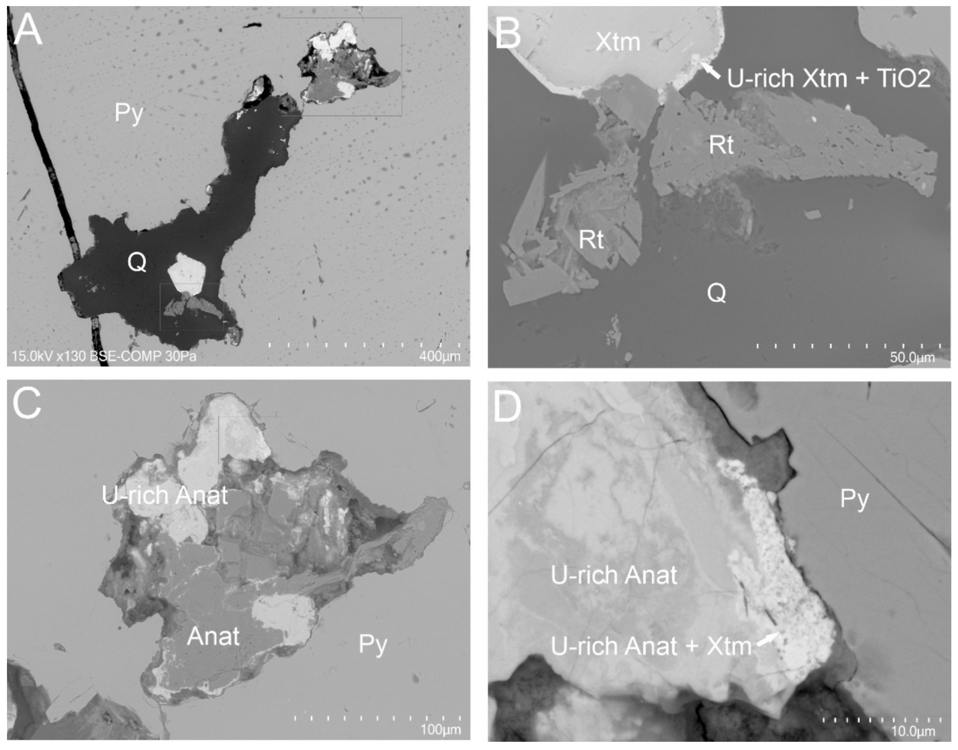 Minerals 11 01426 g007 550