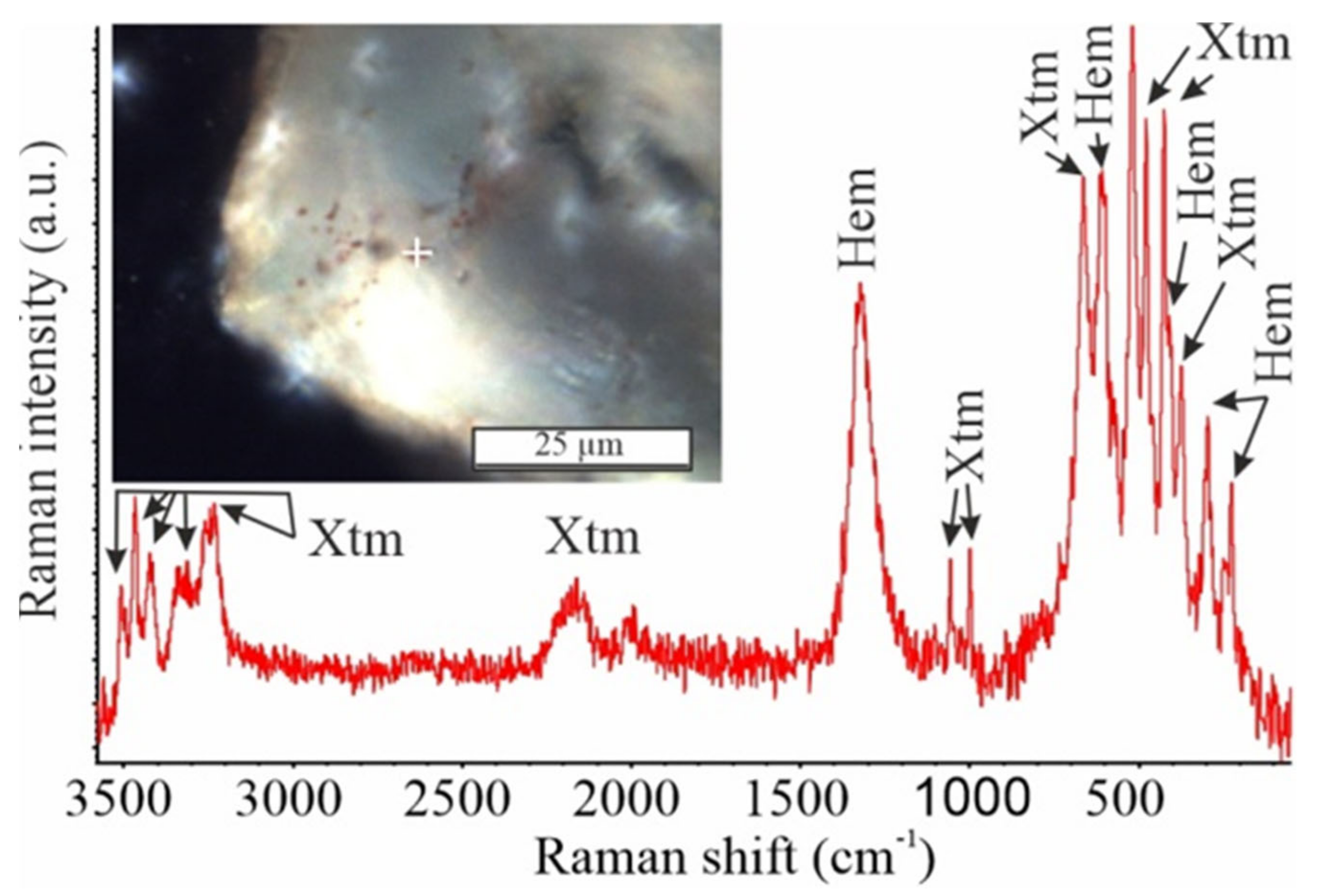 Minerals 11 01426 g008 550