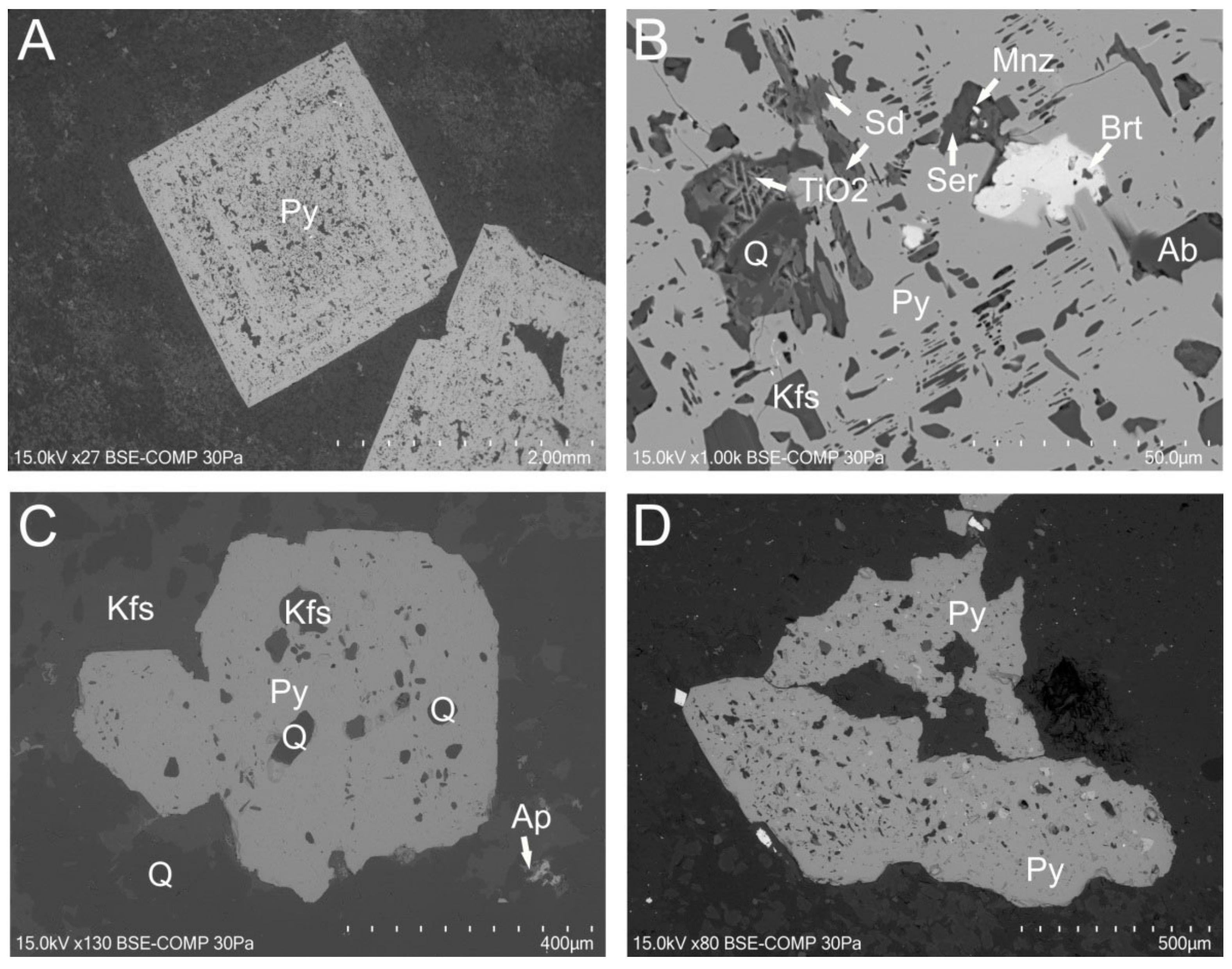 Minerals 11 01426 g010 550