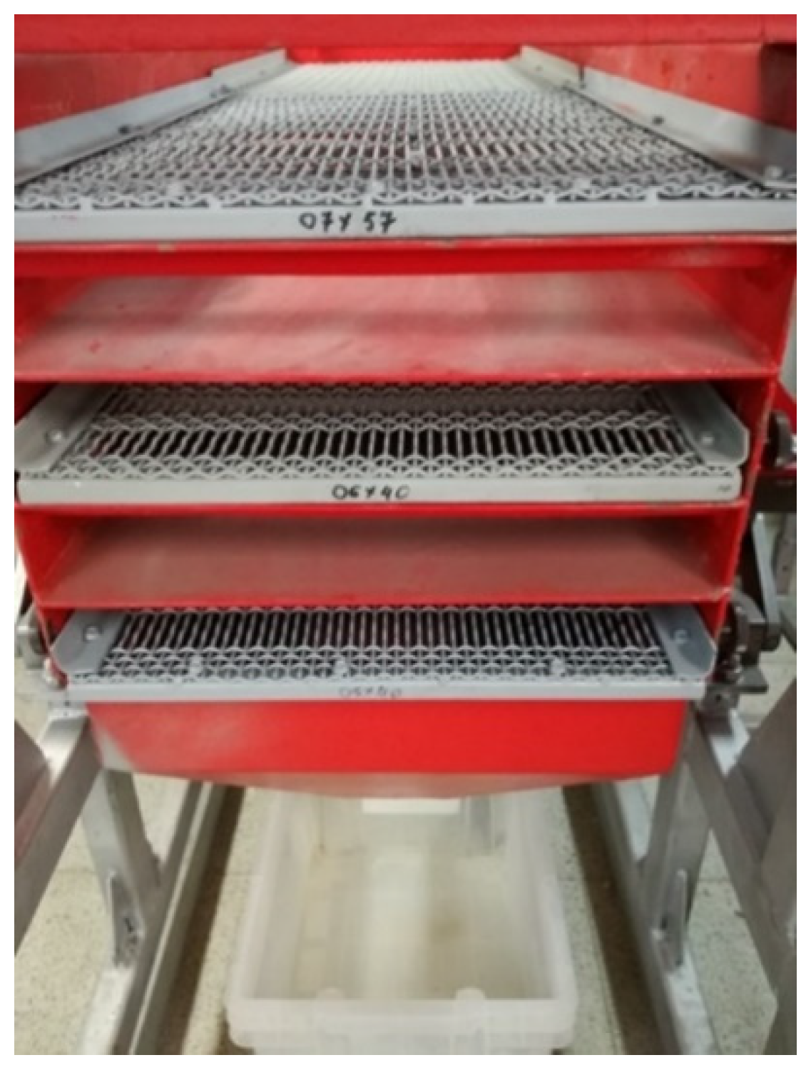 Minerals 11 01429 g016