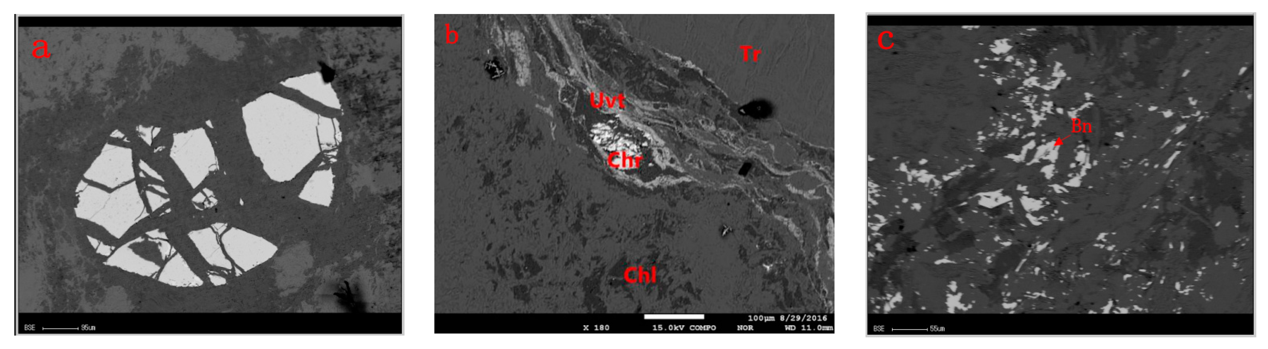Minerals 11 01434 g008 550