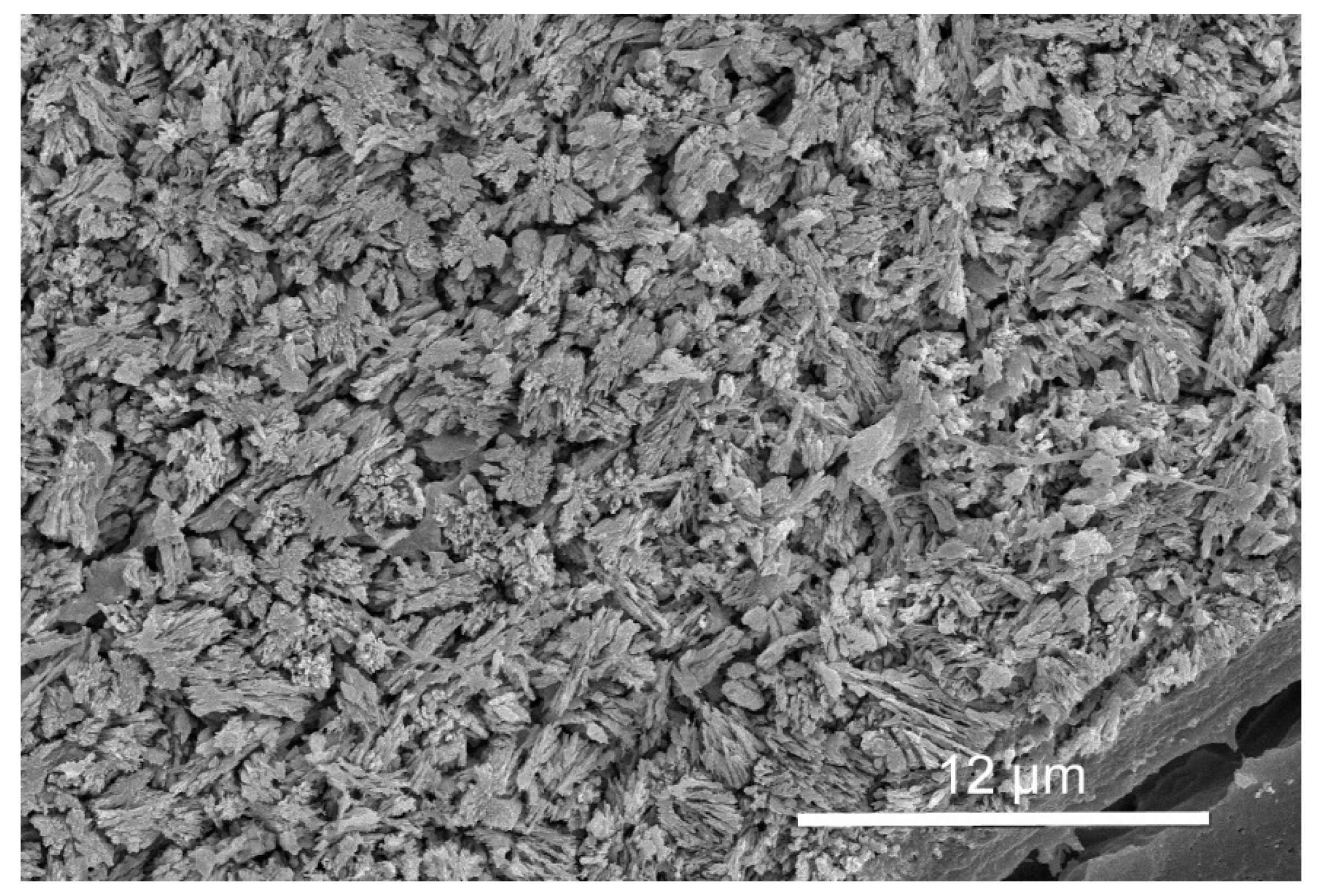 Minerals 11 01435 g005 550