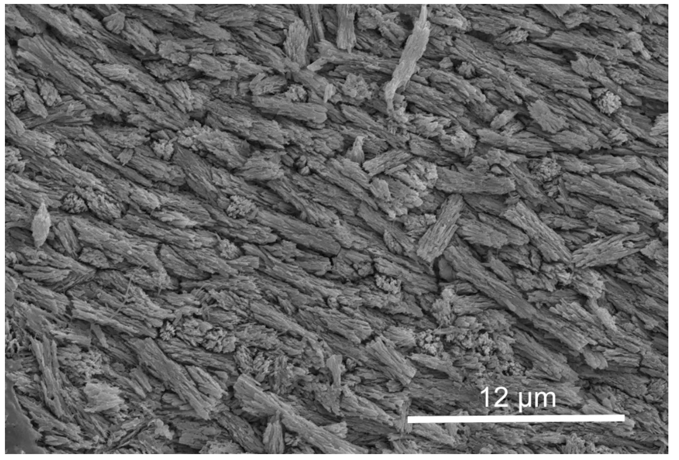 Minerals 11 01435 g006 550