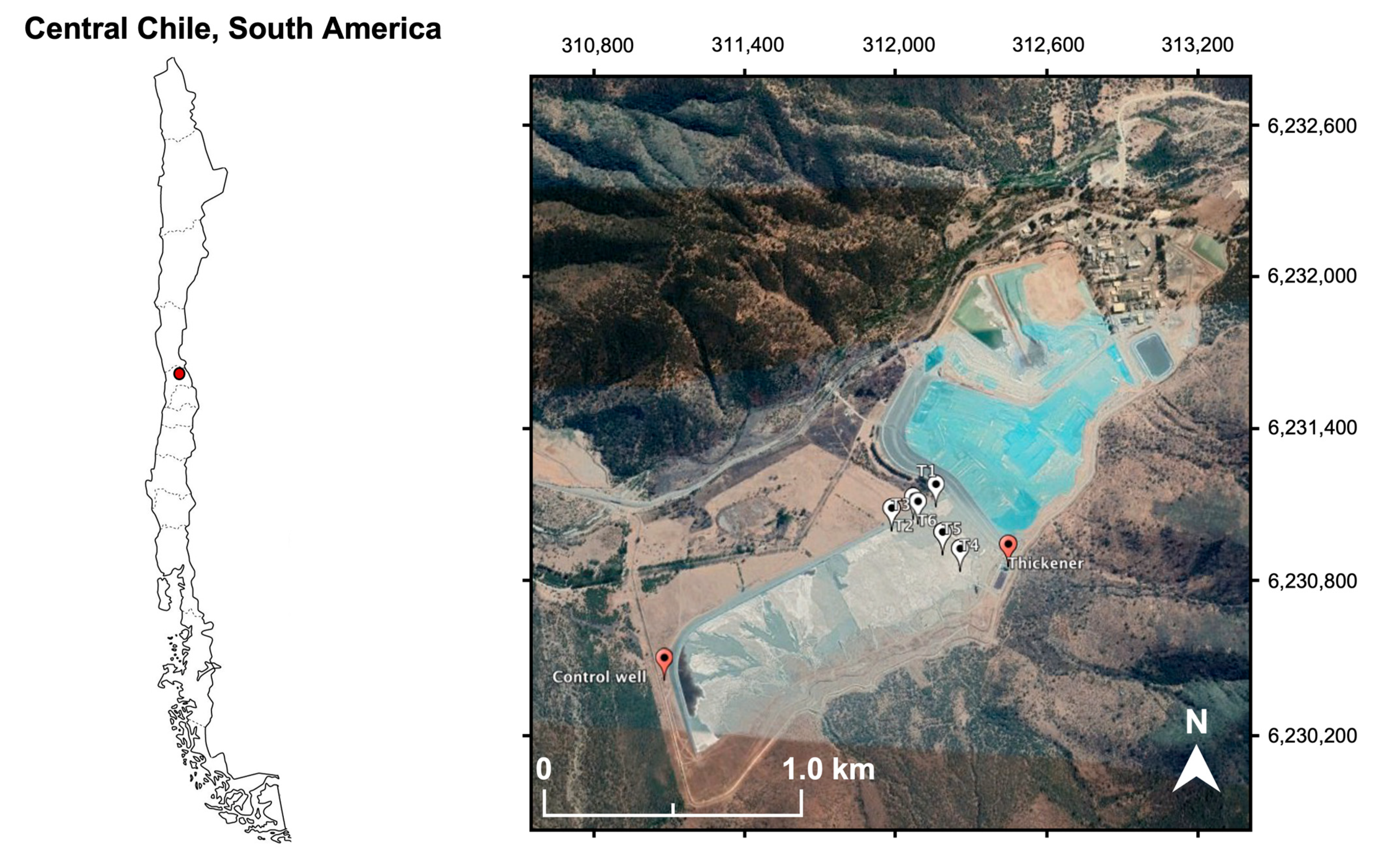 Minerals 11 01436 g001