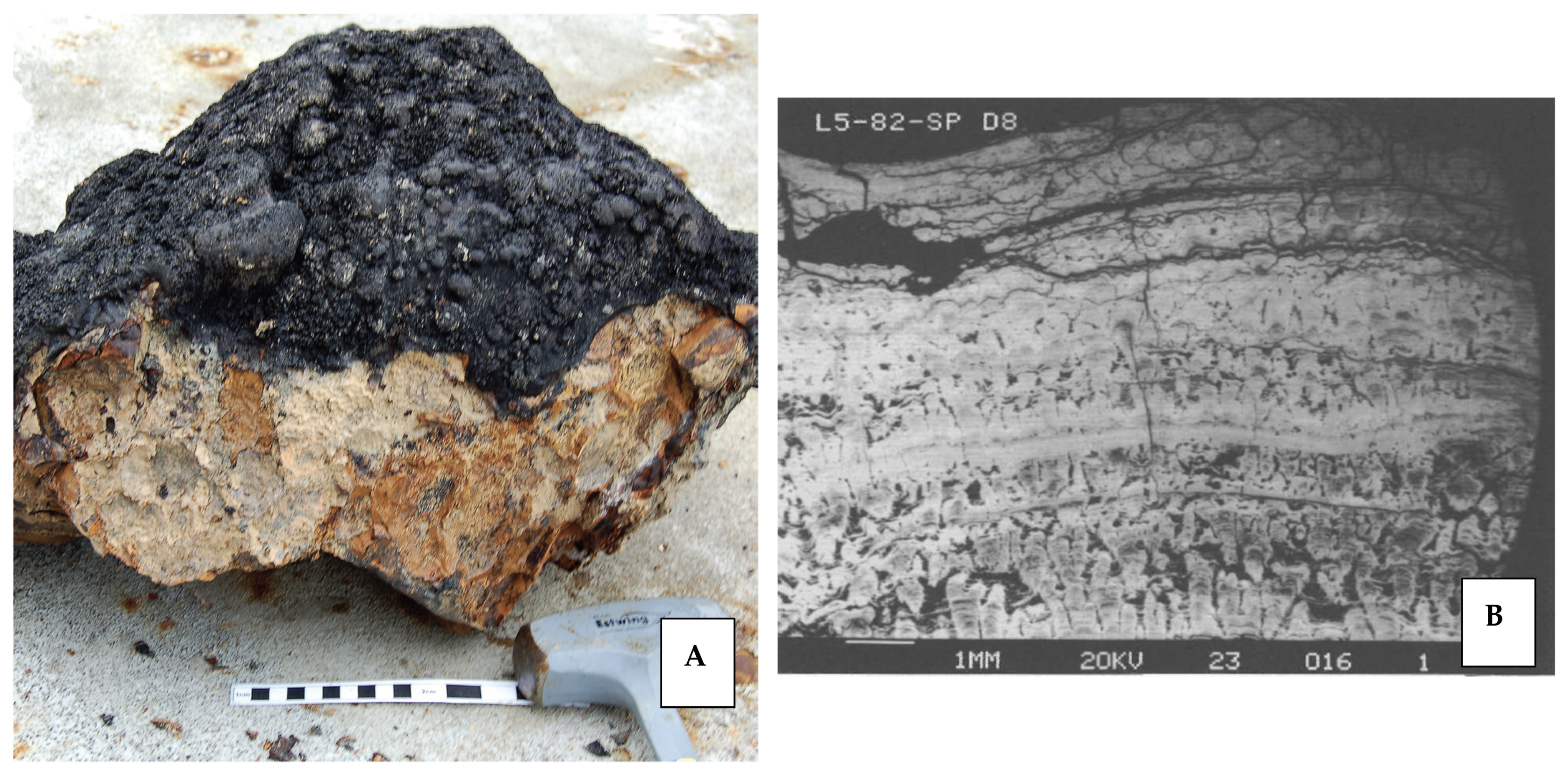 Minerals 11 01437 g005