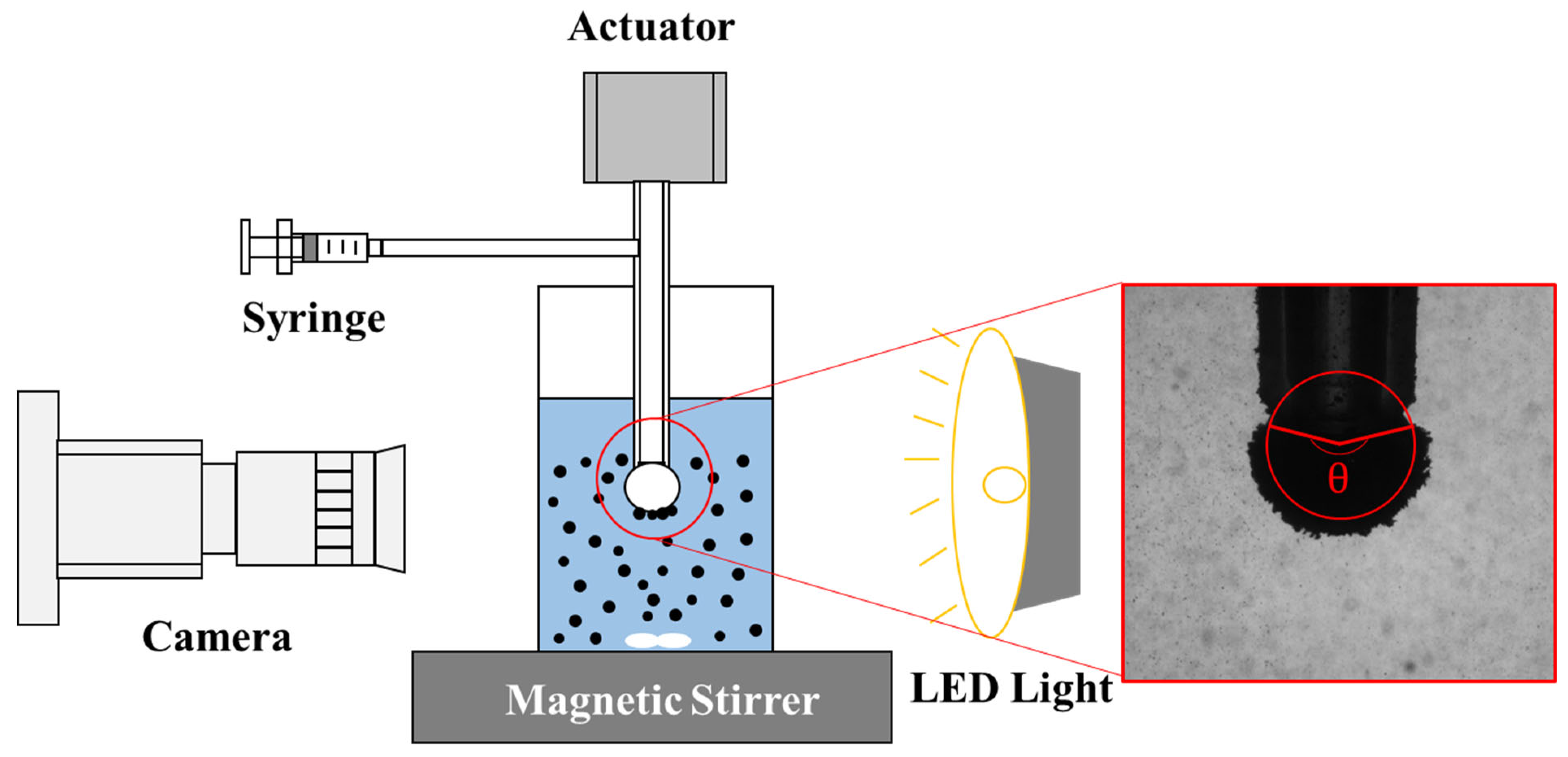 Minerals 11 01439 g004