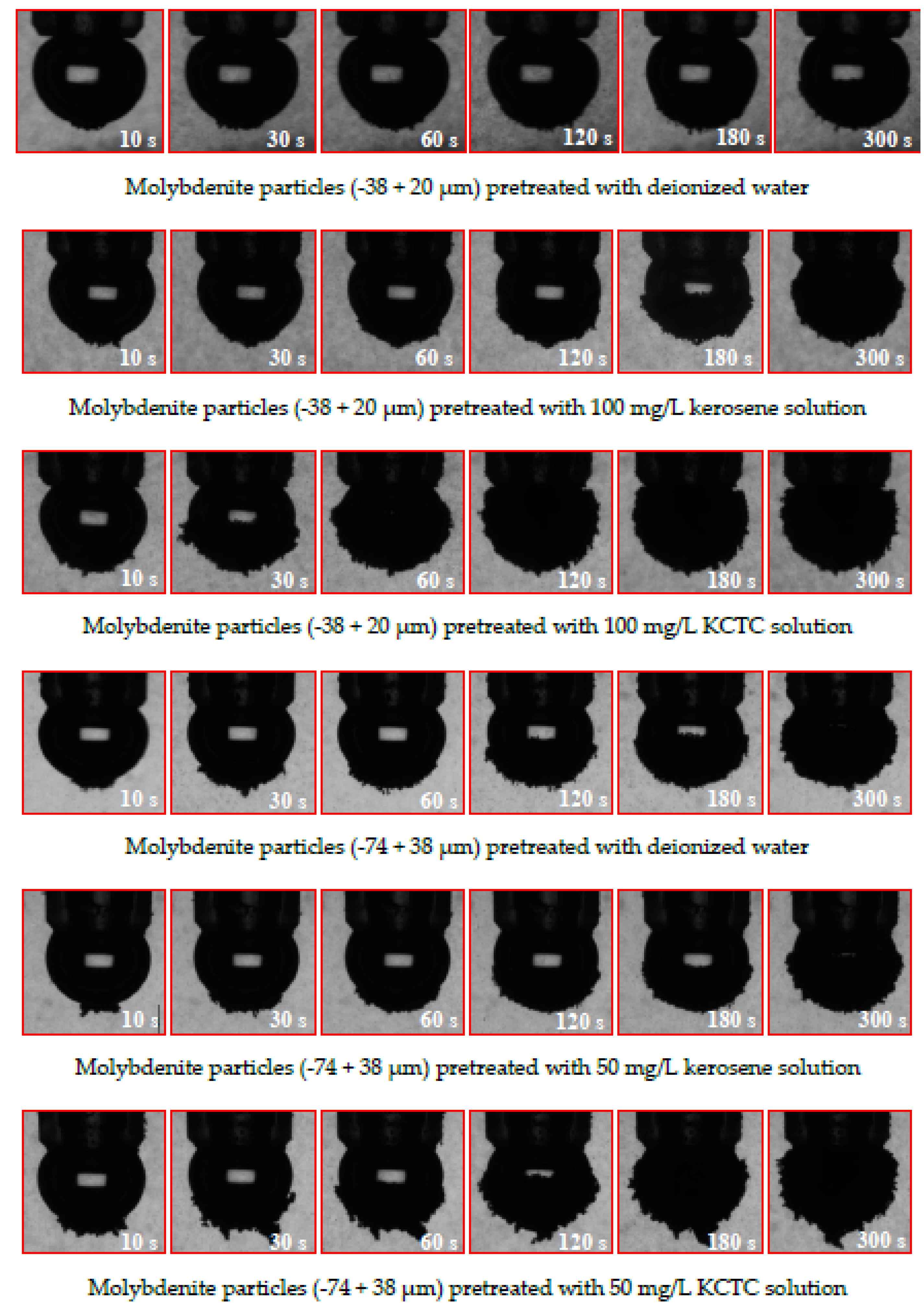 Minerals 11 01439 g005