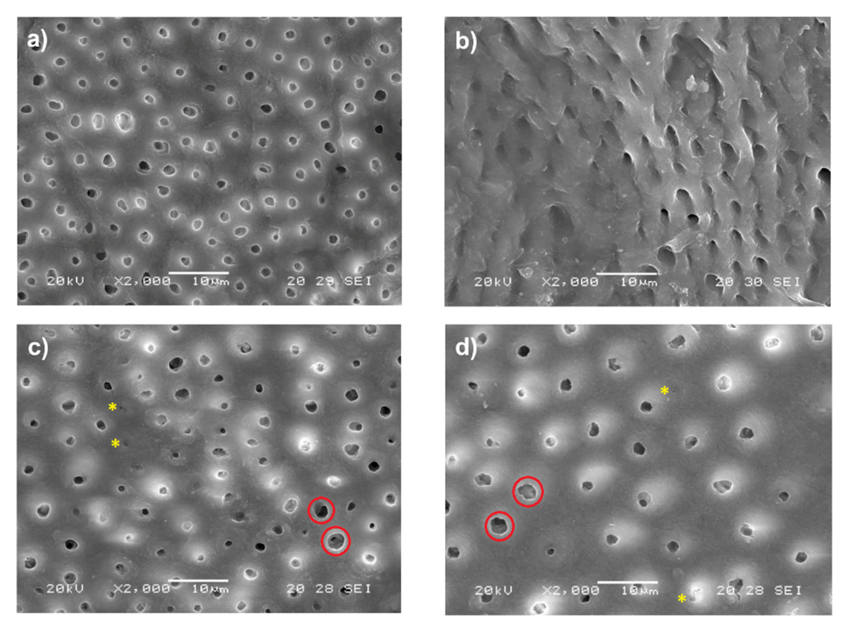 Minerals 12 00005 g007