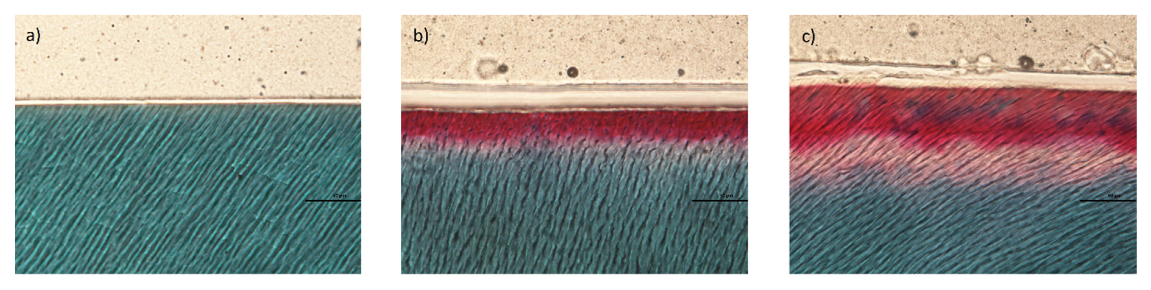 Minerals 12 00005 g008