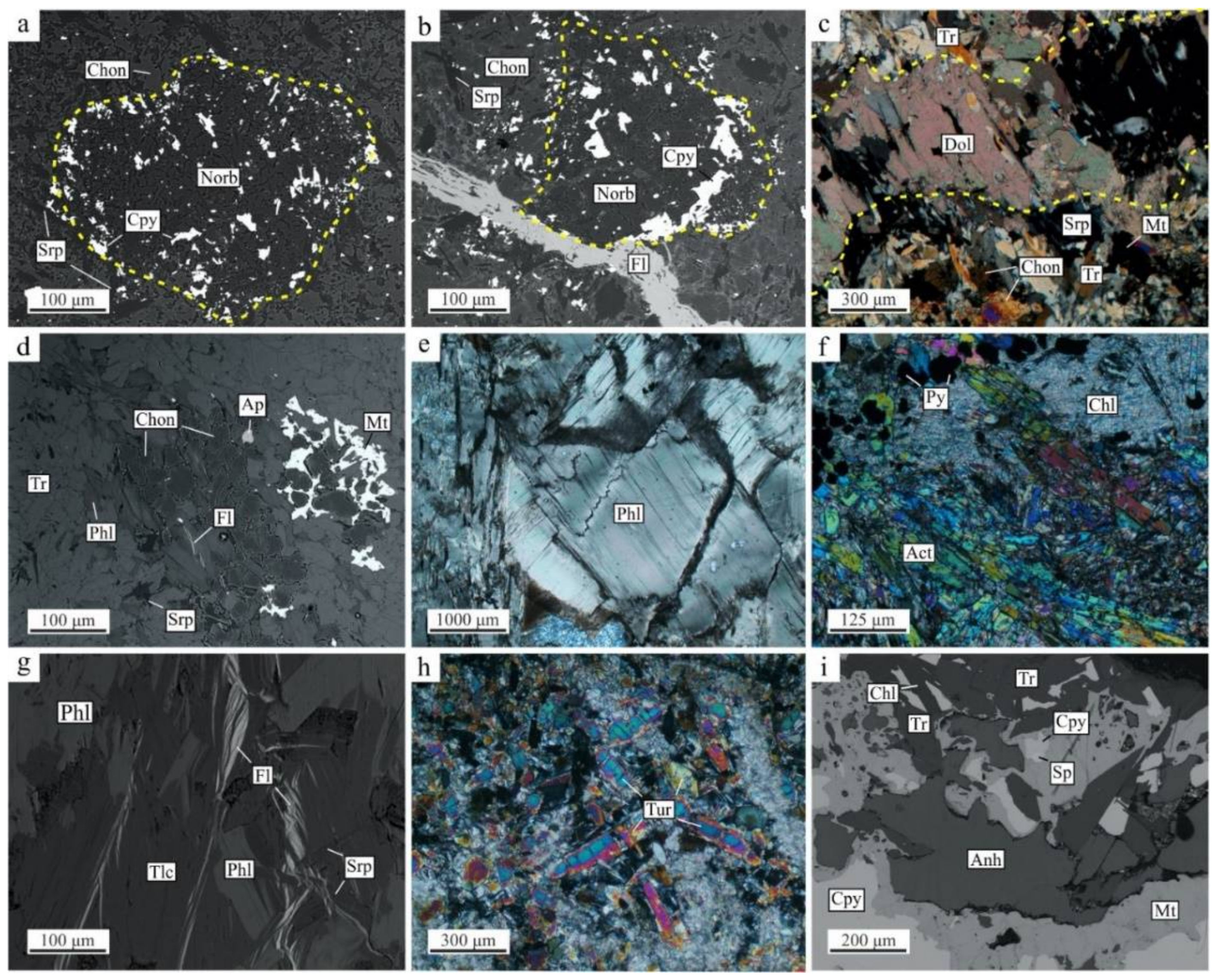 Minerals 12 00012 g009 550