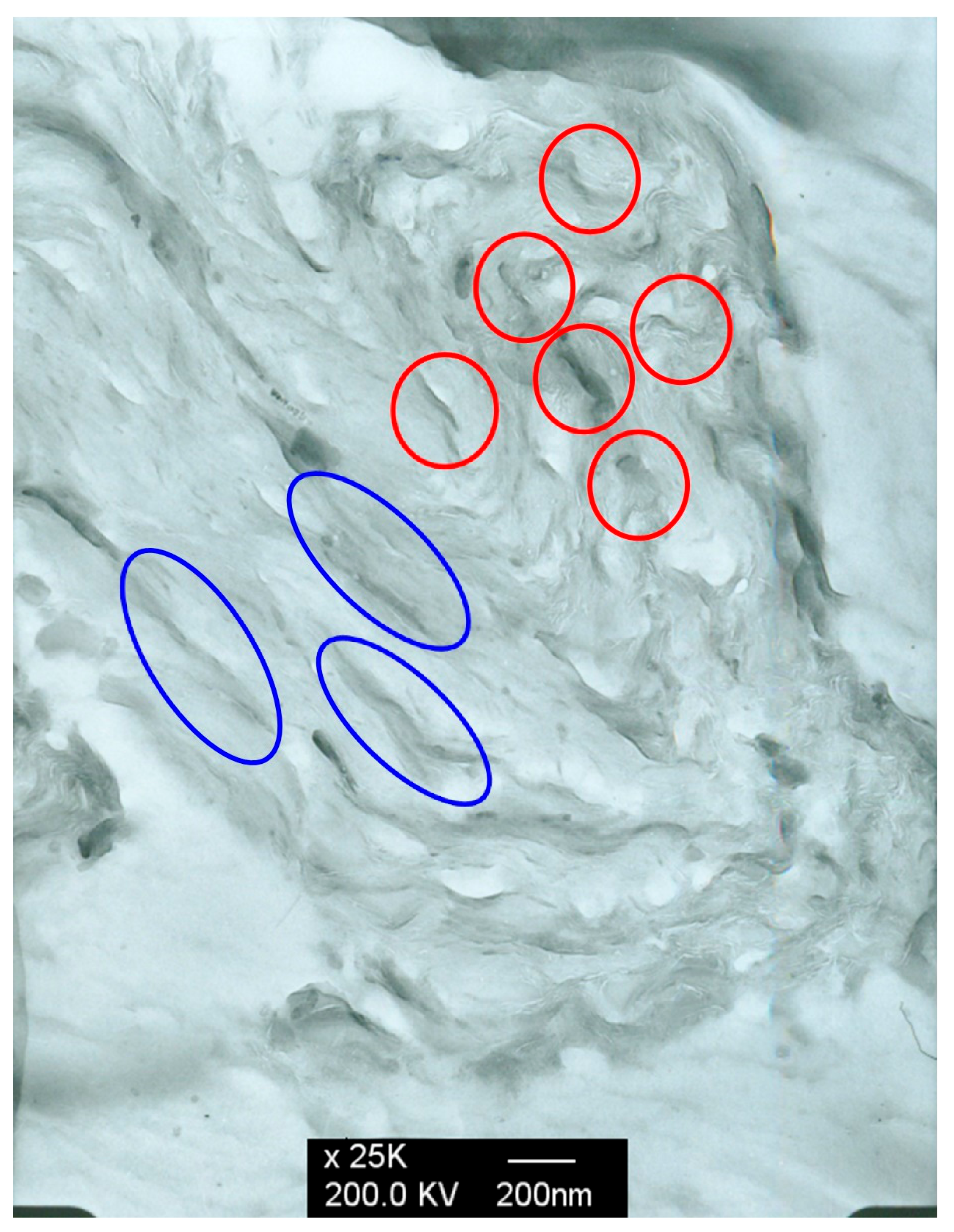 Minerals 12 00014 g004