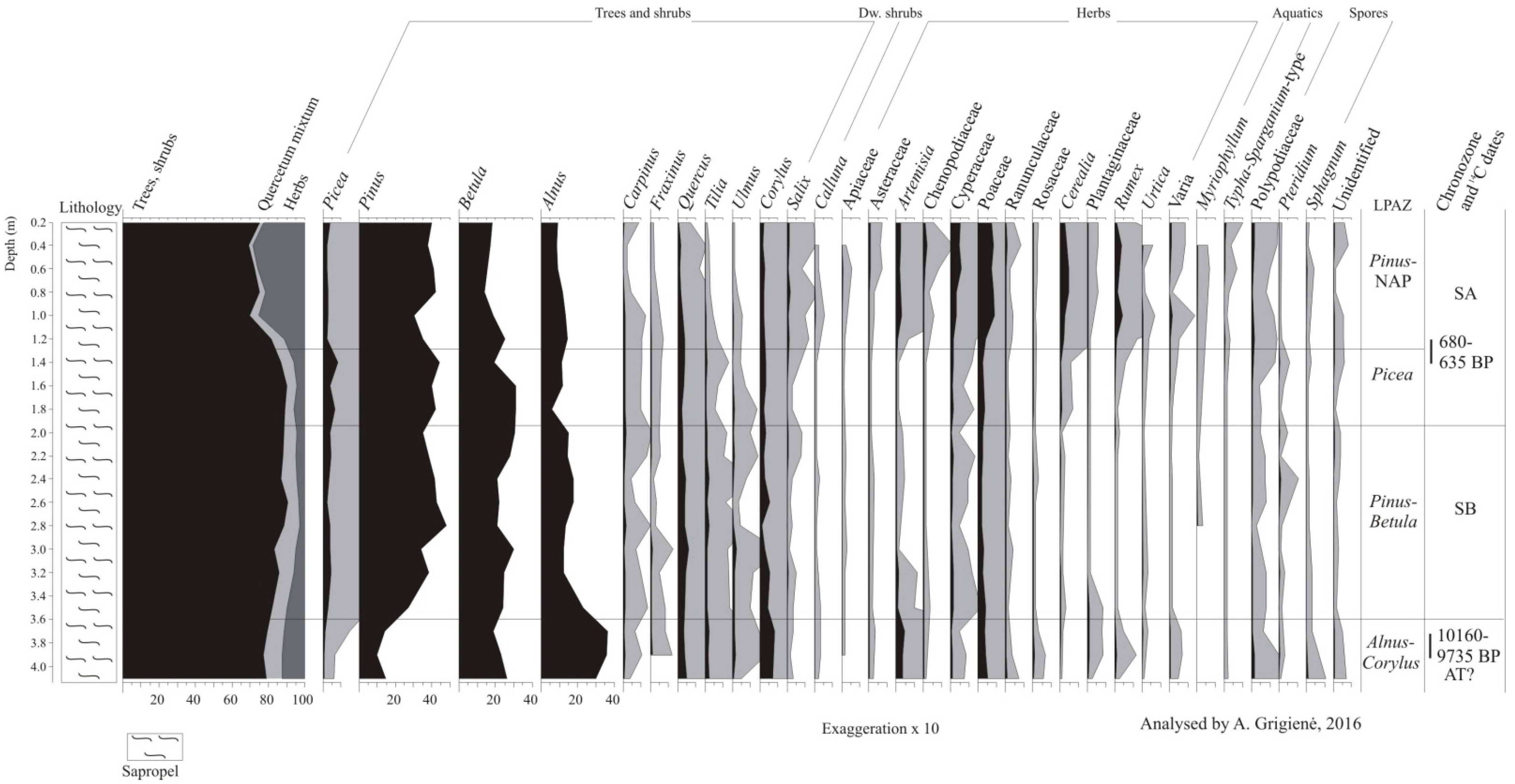 Minerals 12 00017 g005