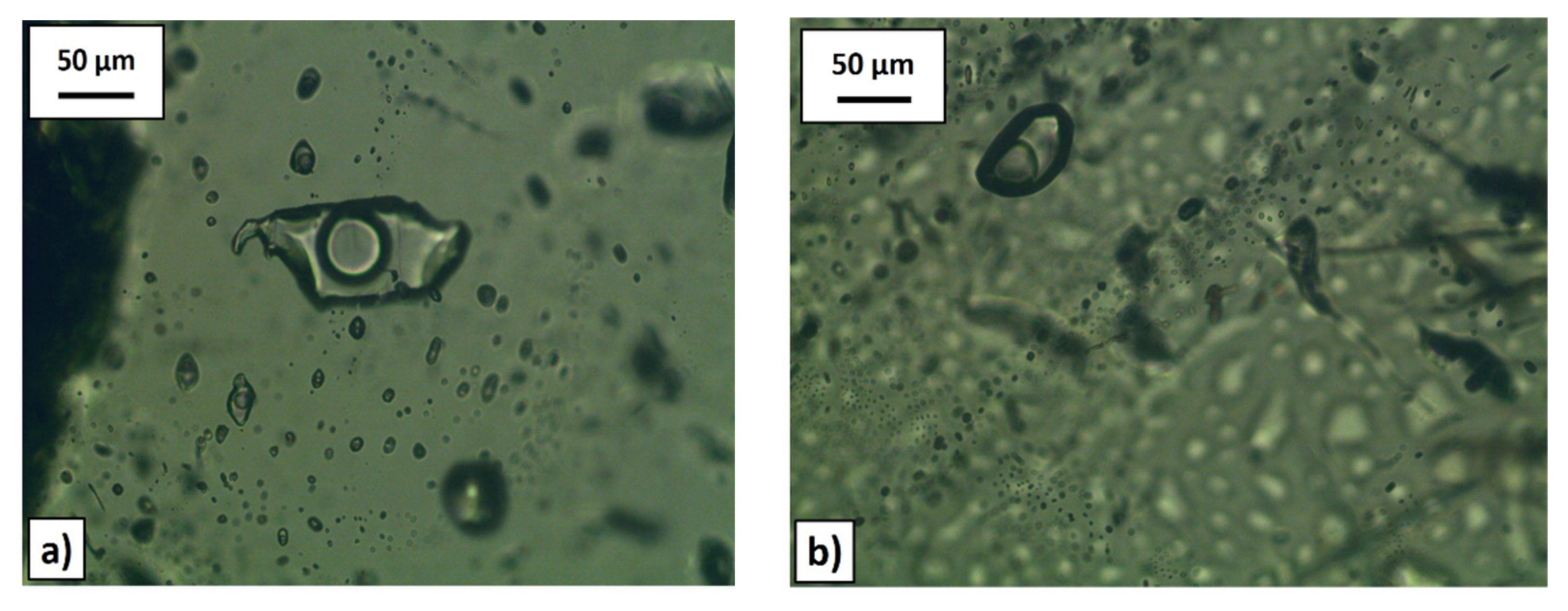 Minerals 12 00024 g008