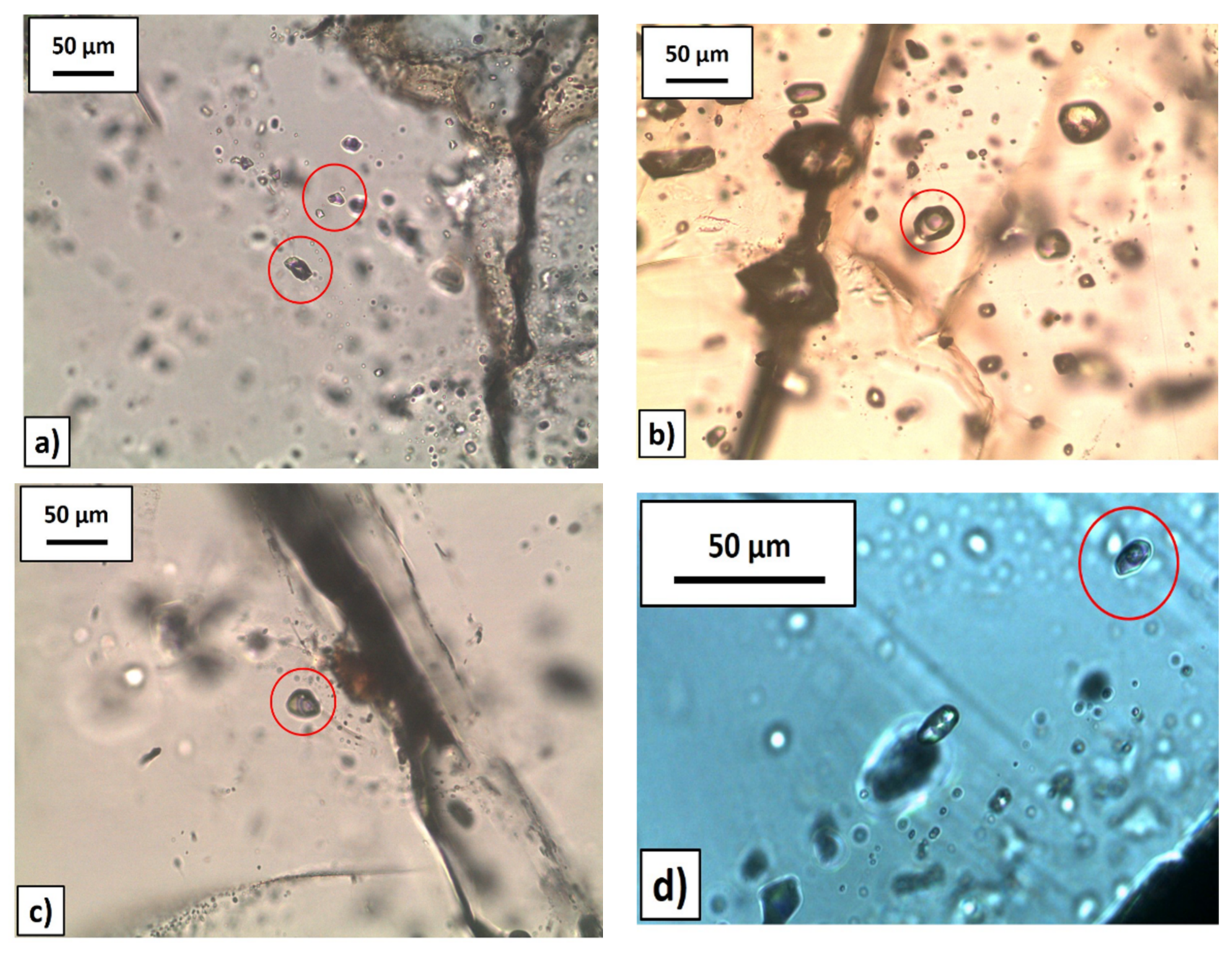 Minerals 12 00024 g009