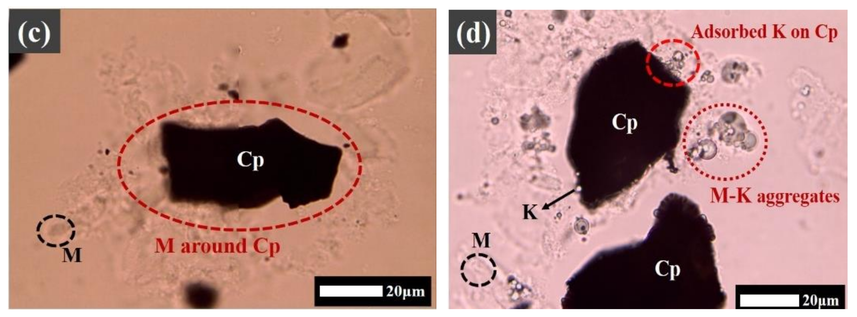 Minerals 12 00048 g004b