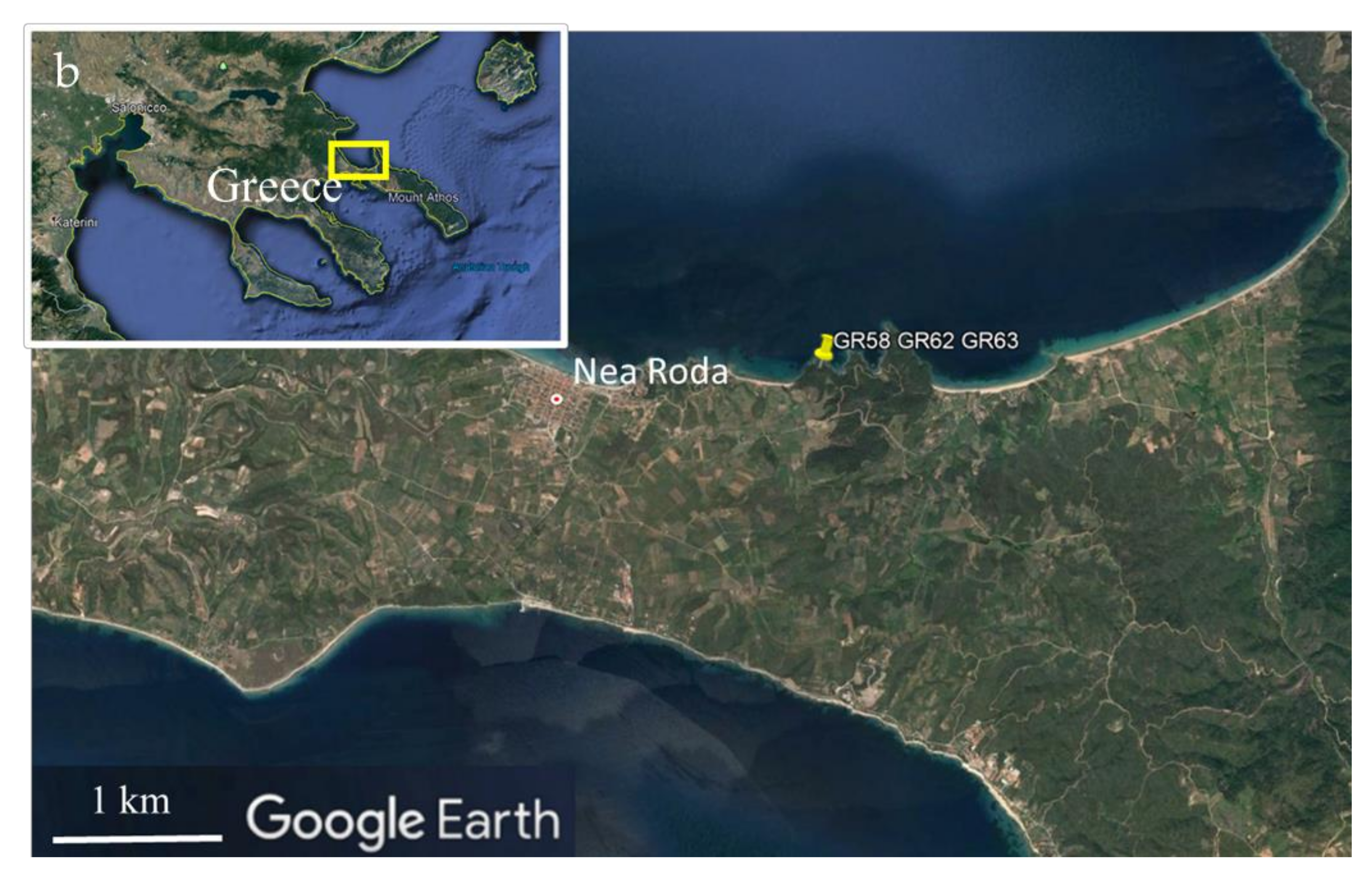 Minerals 12 00064 g003b 550