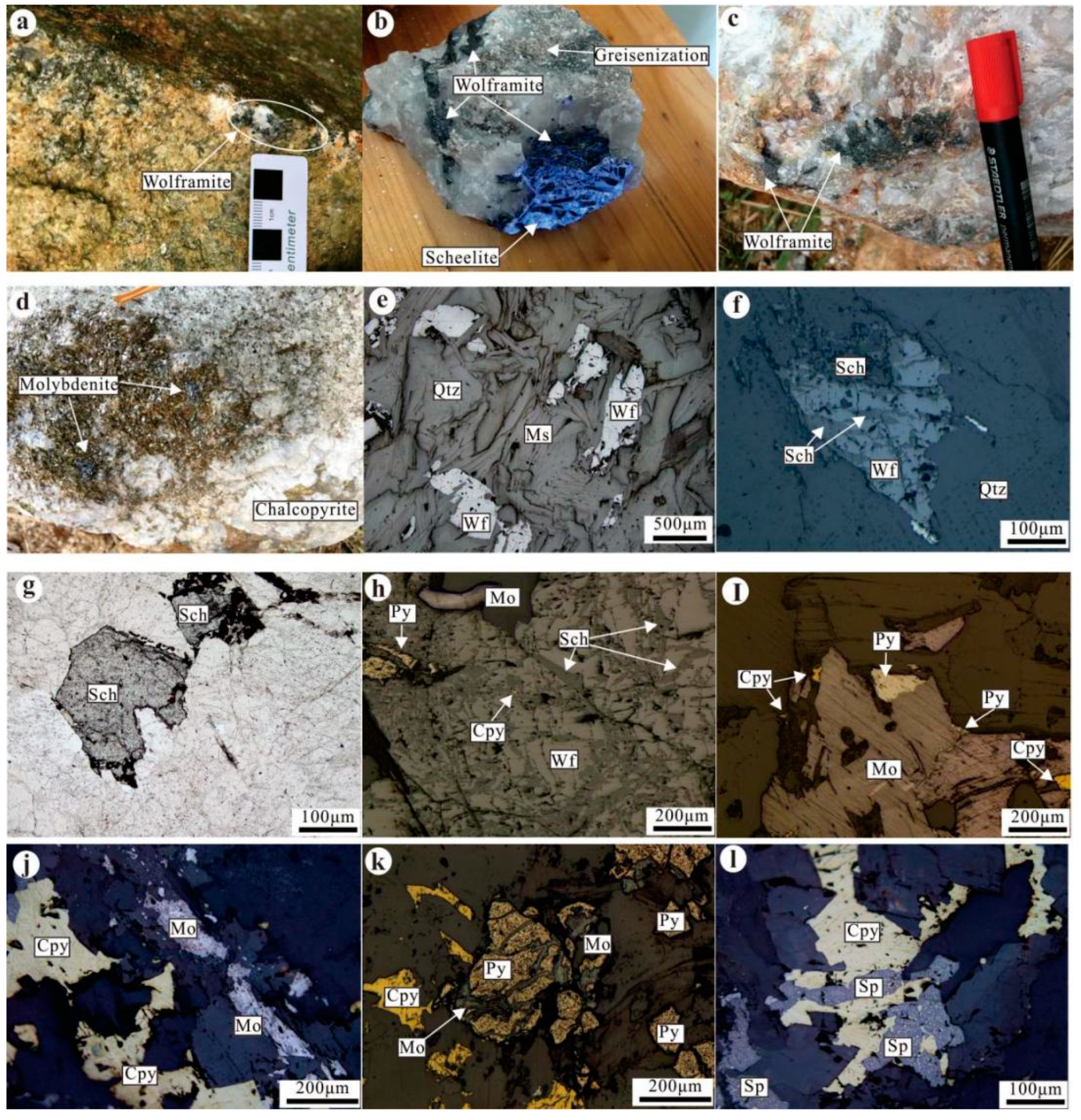 Geochemical and Geochronological Constraints on a Granitoid
