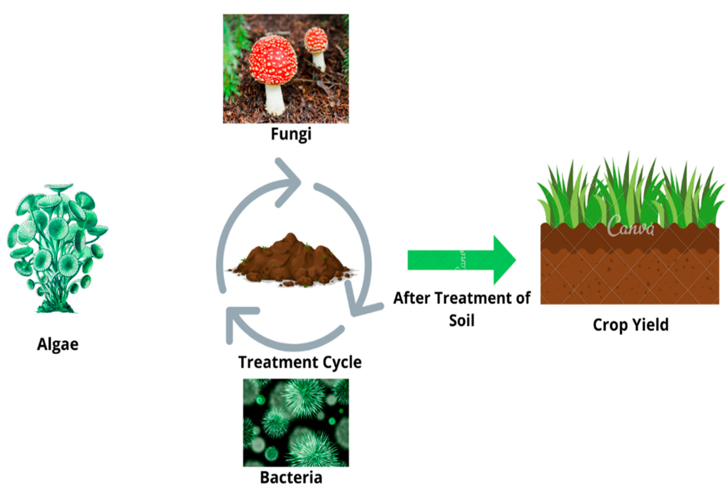Minerals 12 00085 g003 550
