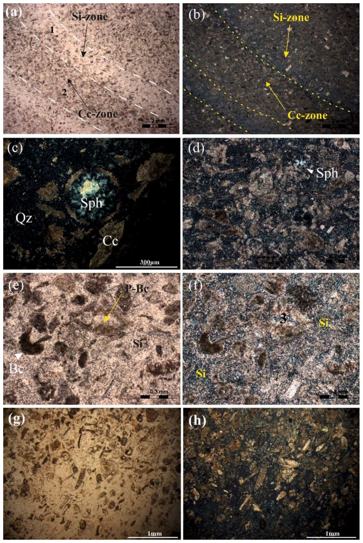 Minerals 12 00101 g006