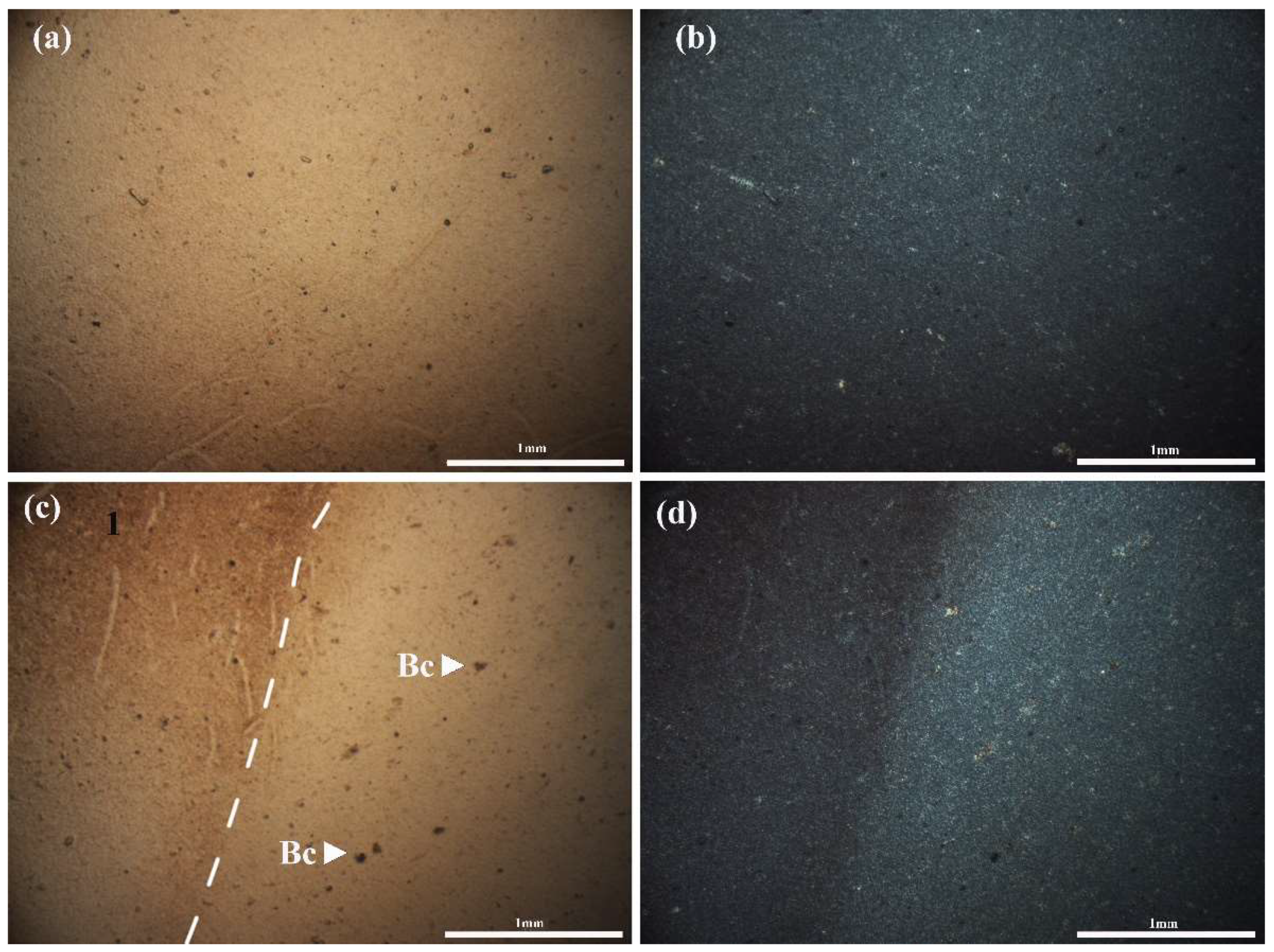 Minerals 12 00101 g007