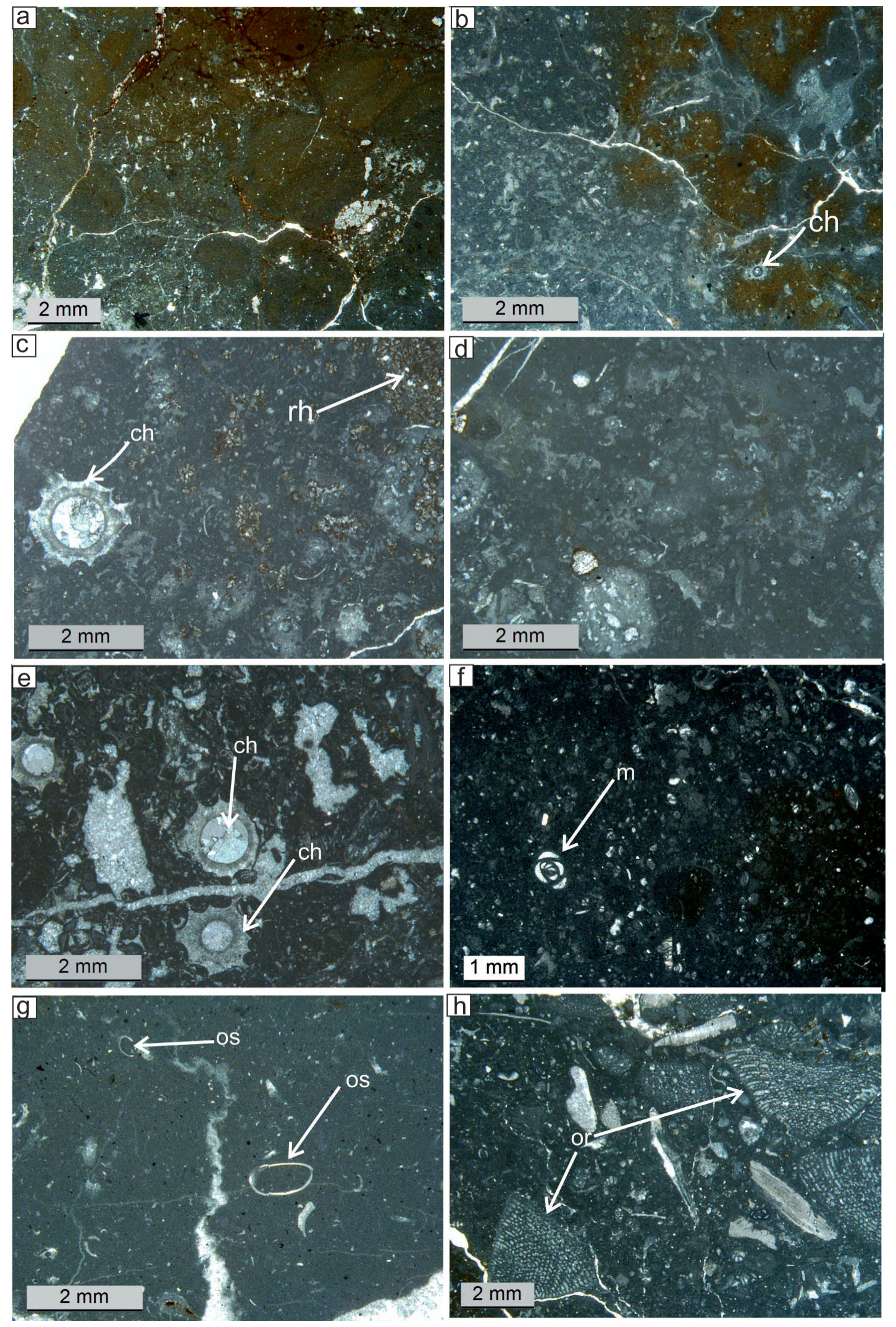 Minerals 12 00116 g005