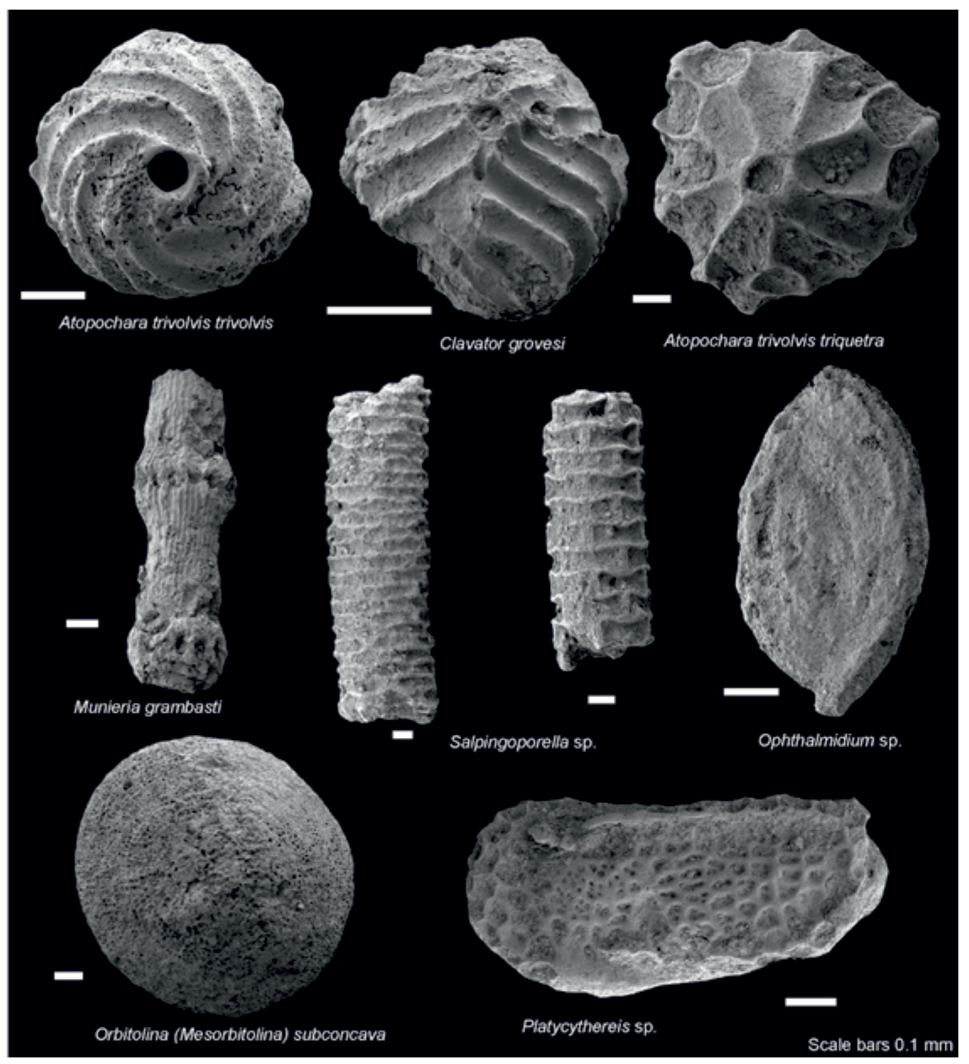 Minerals 12 00116 g006