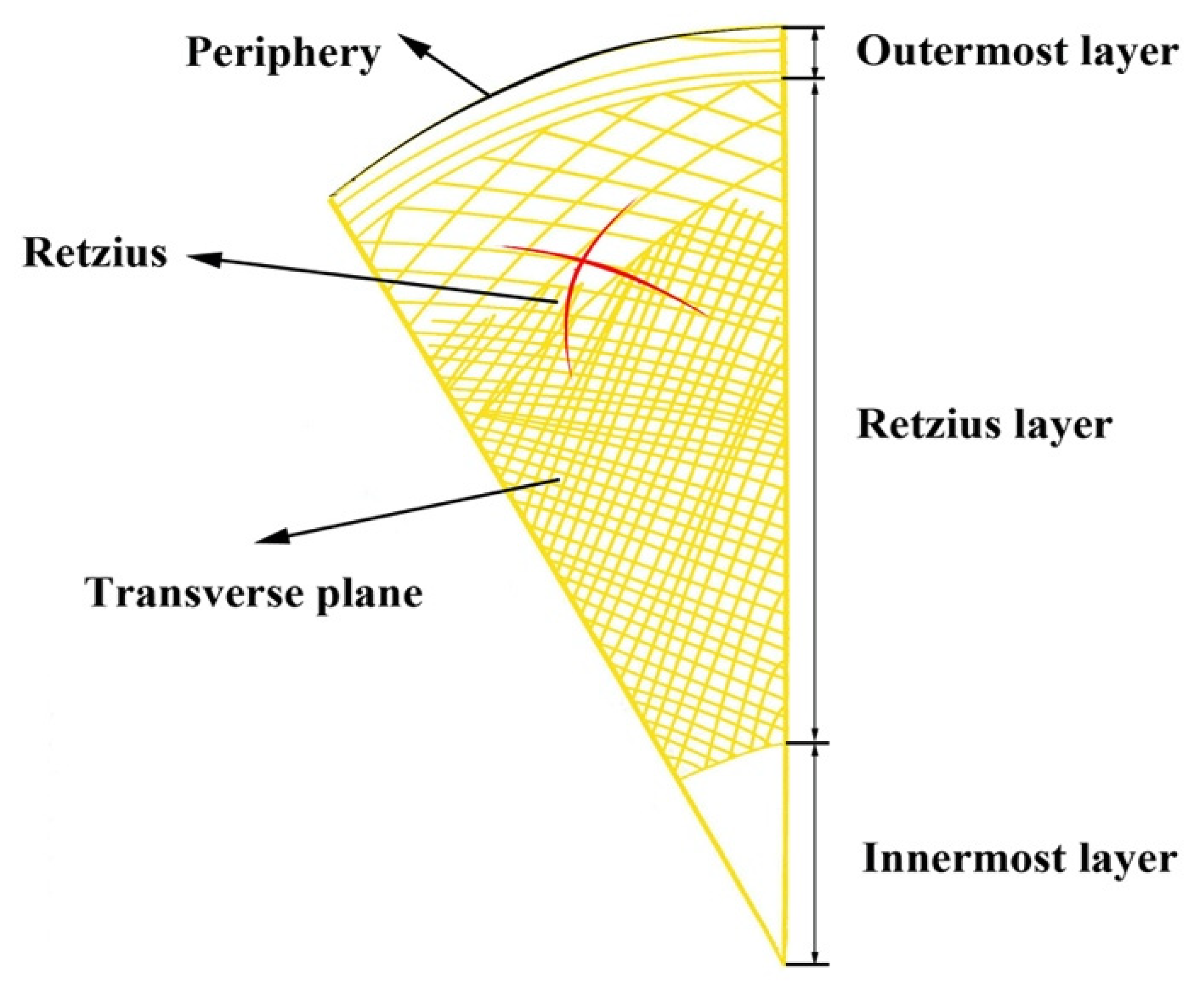 Minerals 12 00117 g002