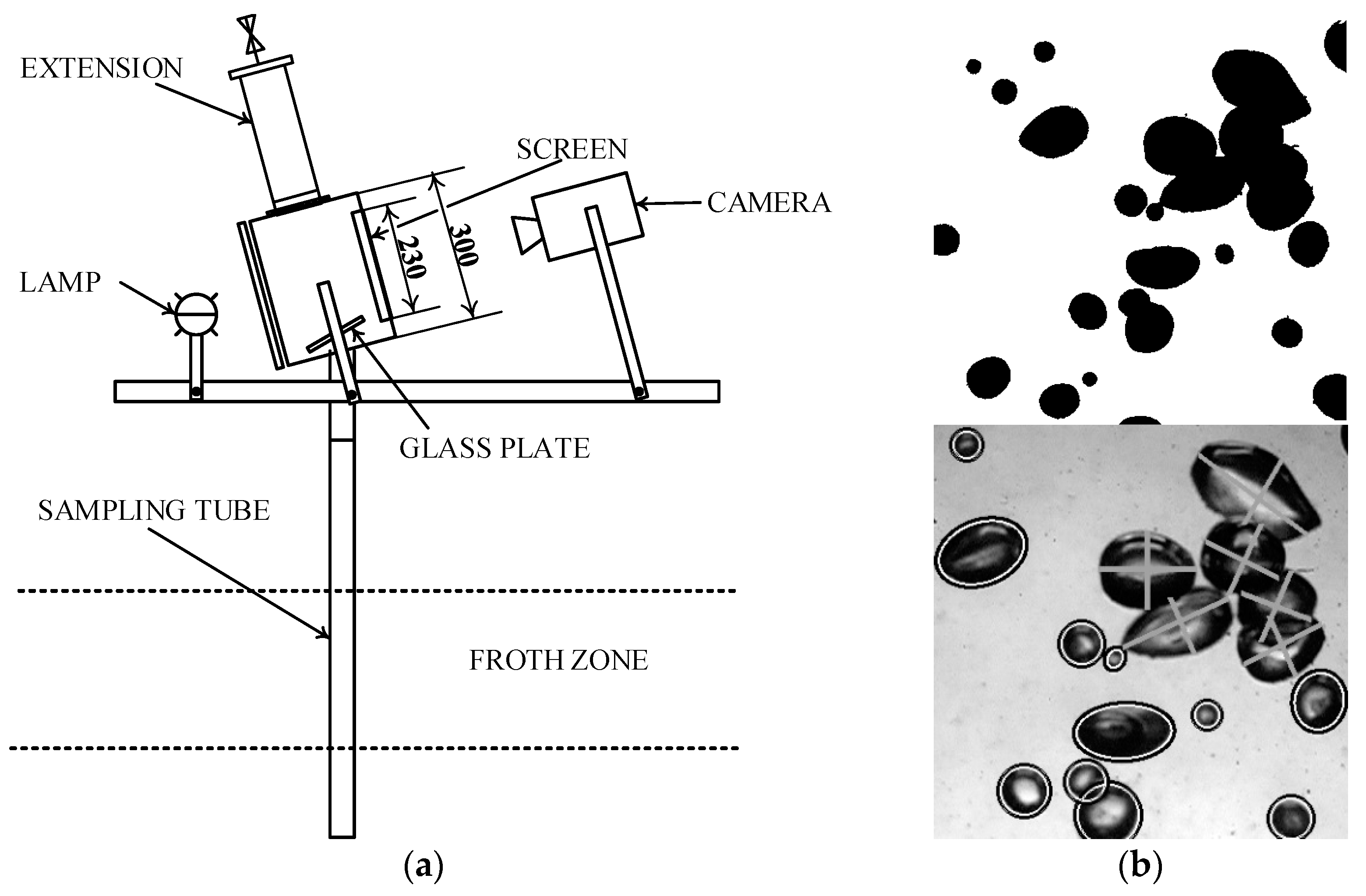 Minerals 12 00125 g001 550