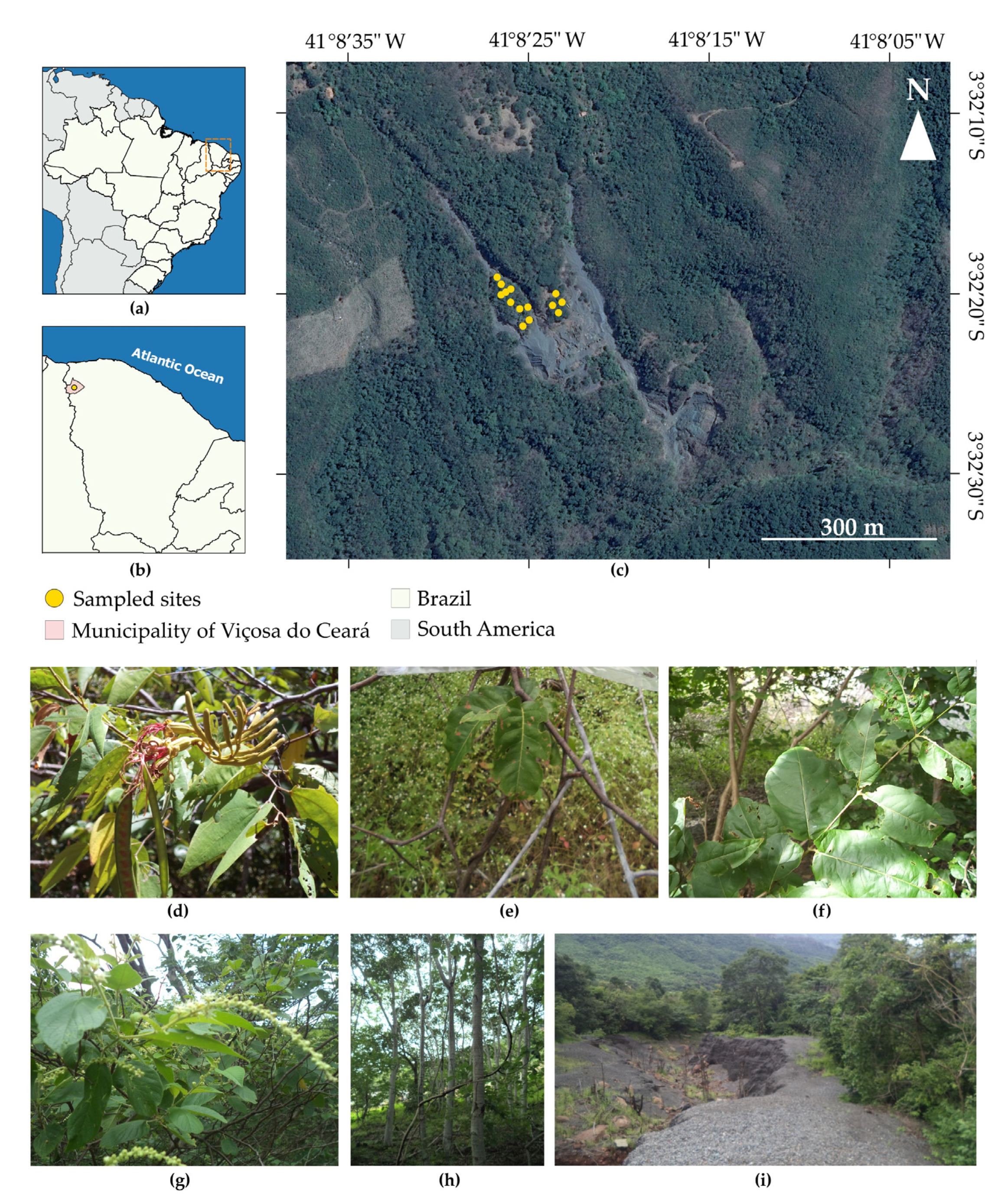 Minerals 12 00130 g001