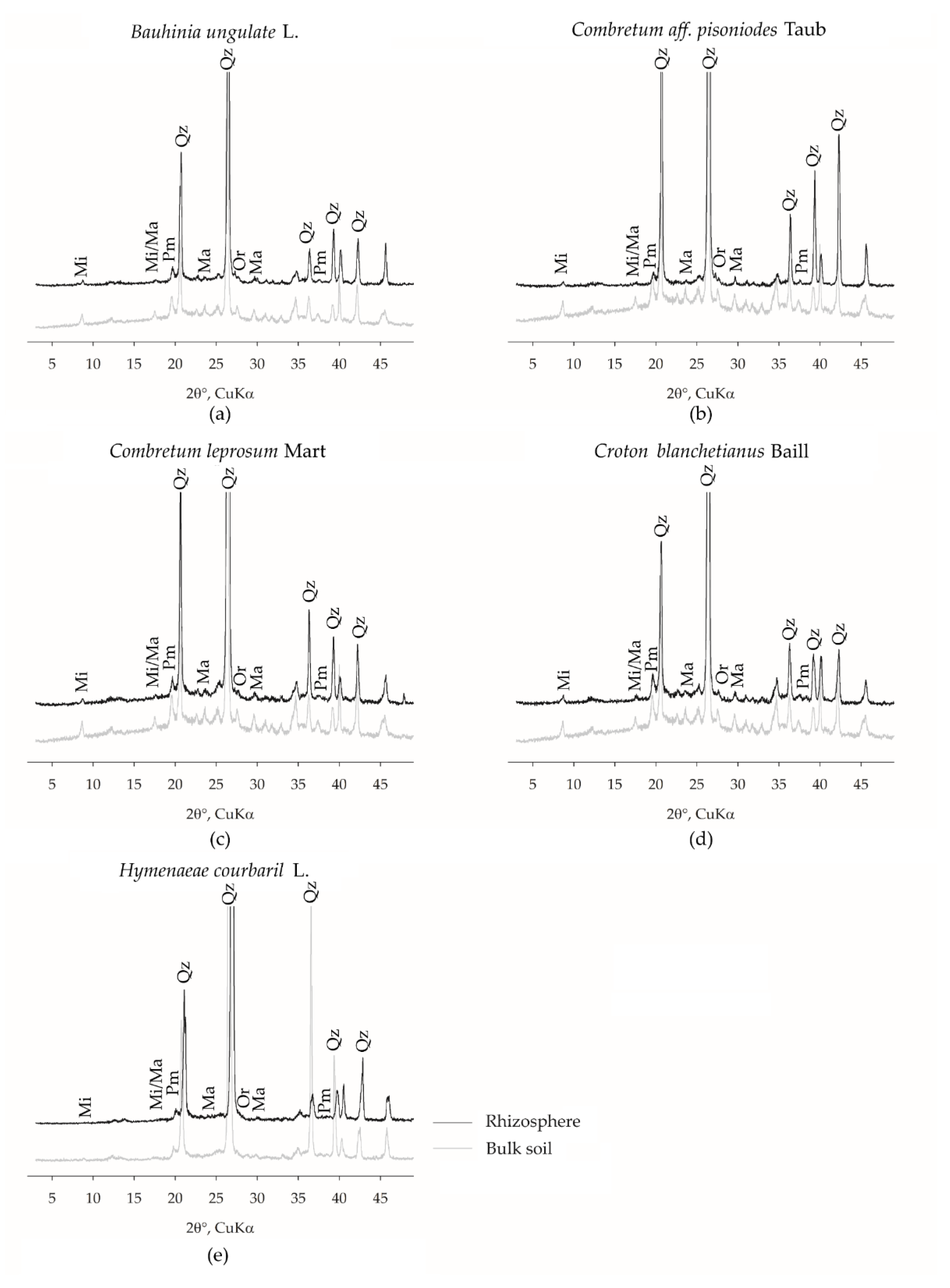 Minerals 12 00130 g004