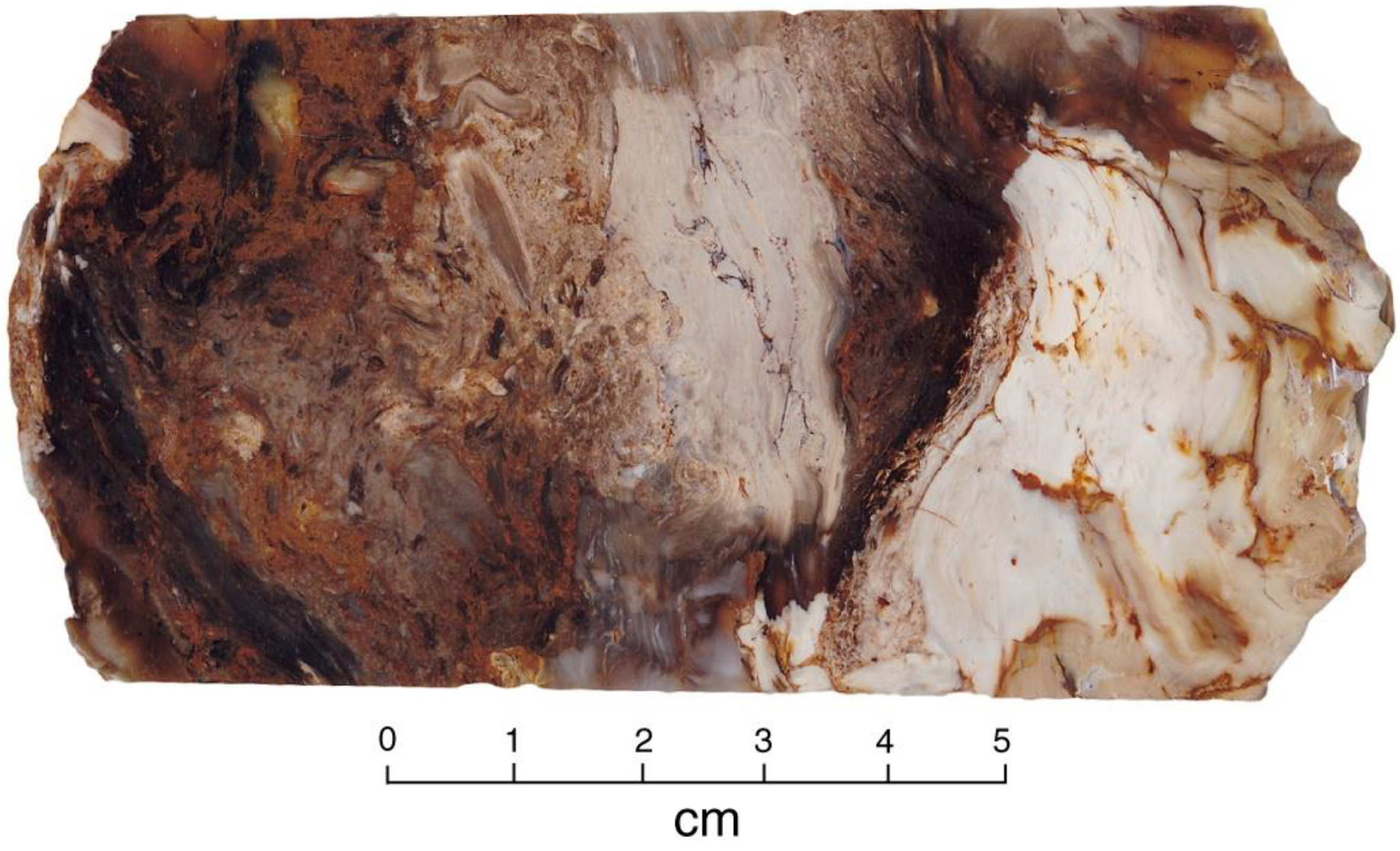 Minerals 12 00131 g005 550