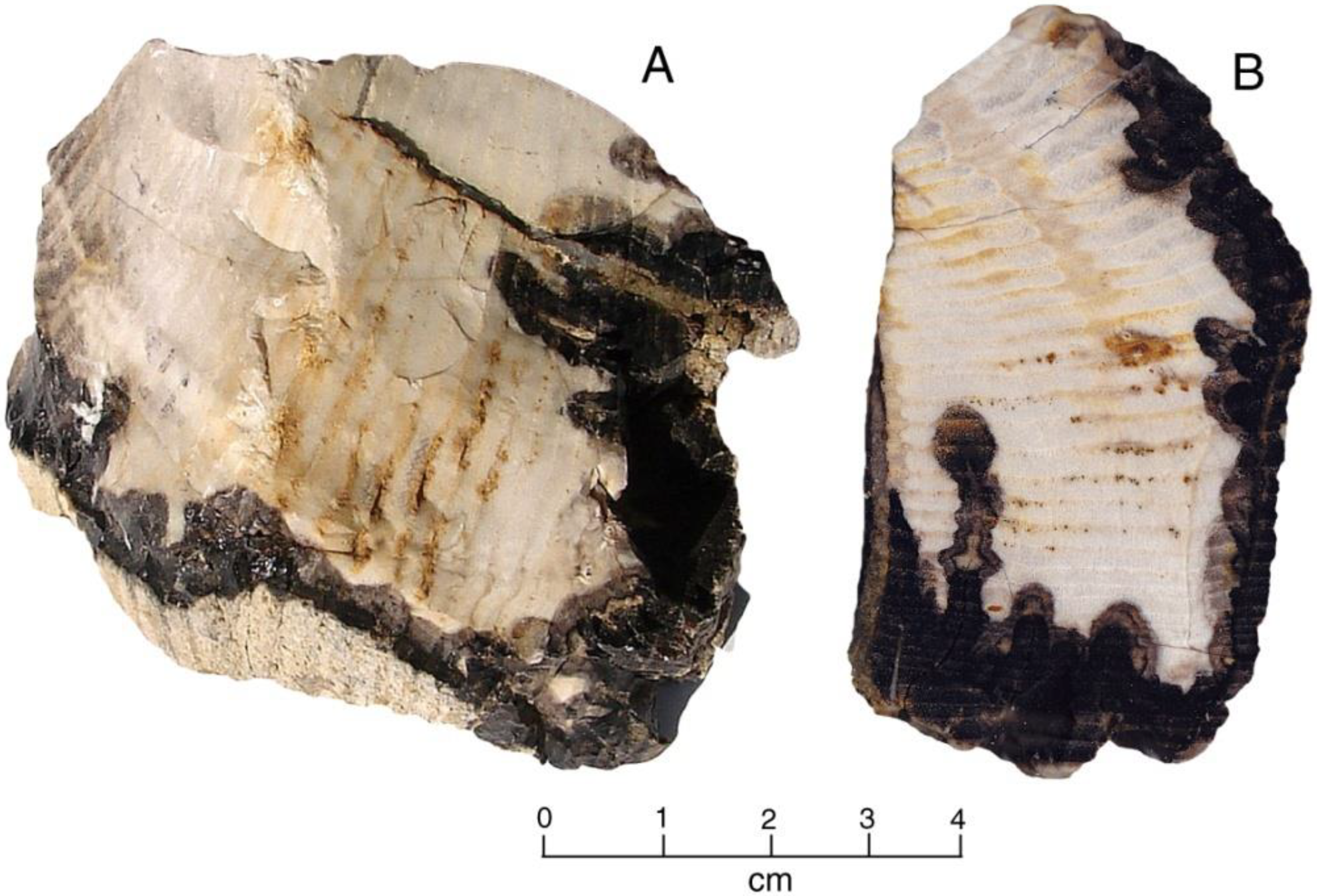 Minerals 12 00131 g006 550