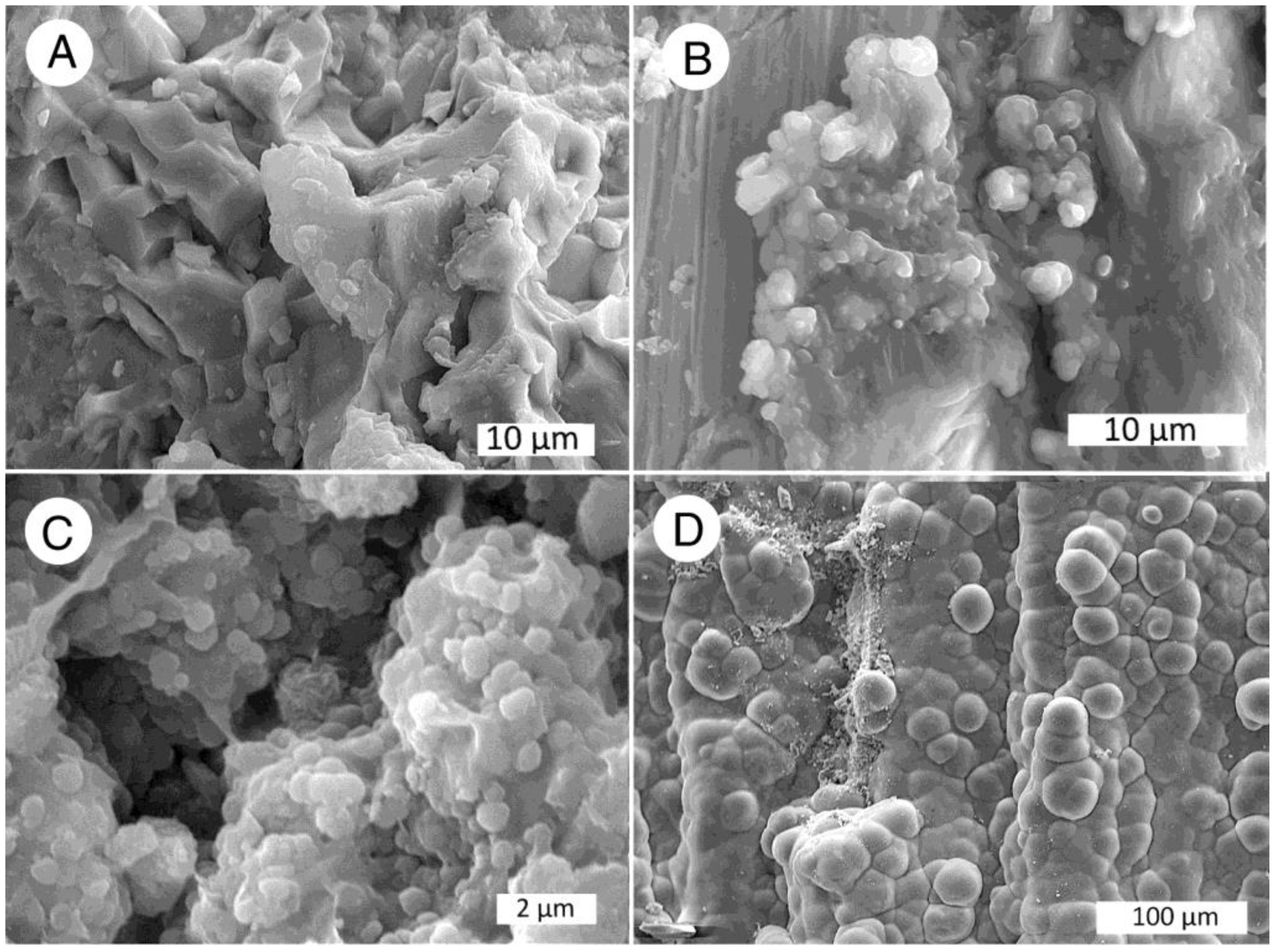 Minerals 12 00131 g010 550
