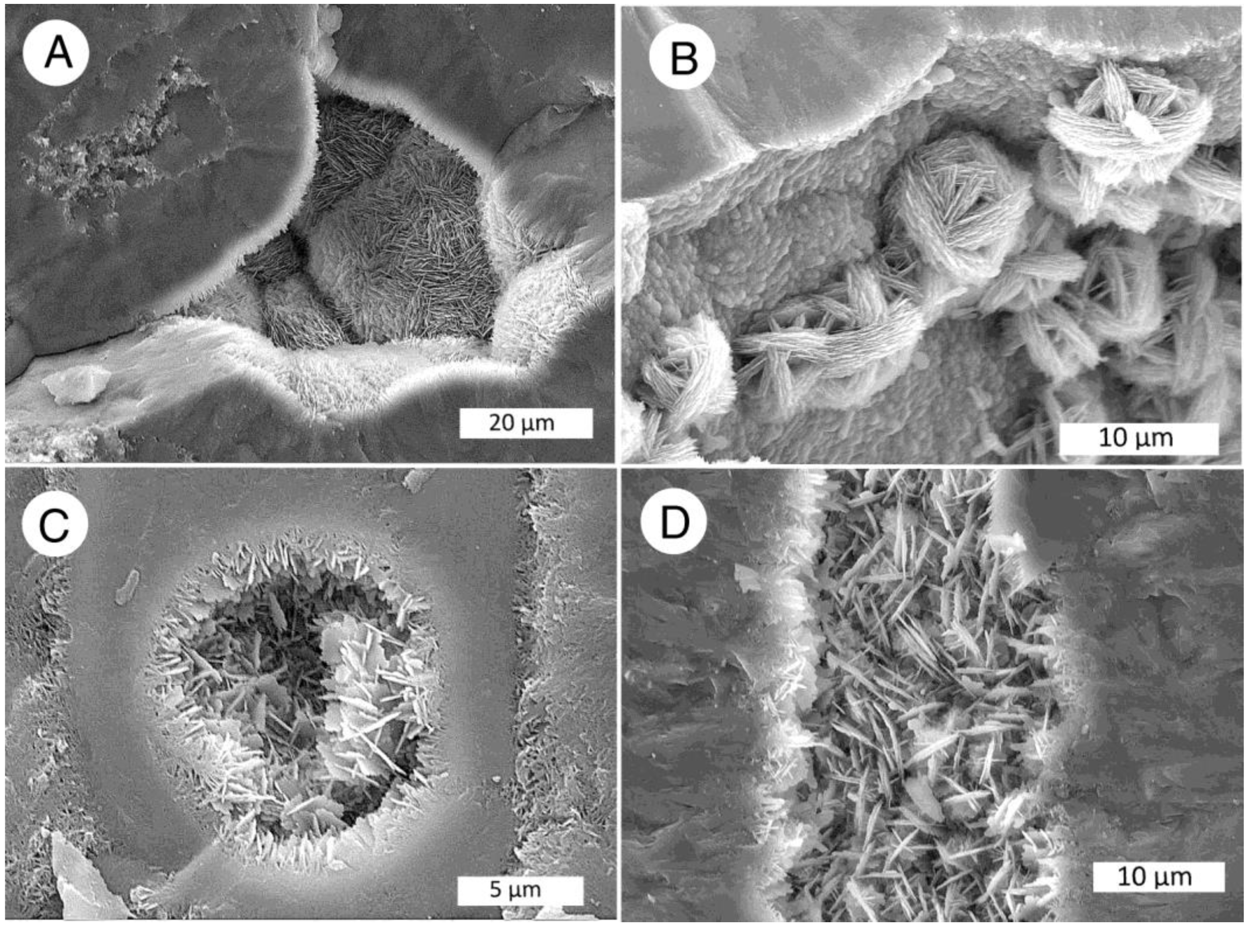 Minerals 12 00131 g011 550