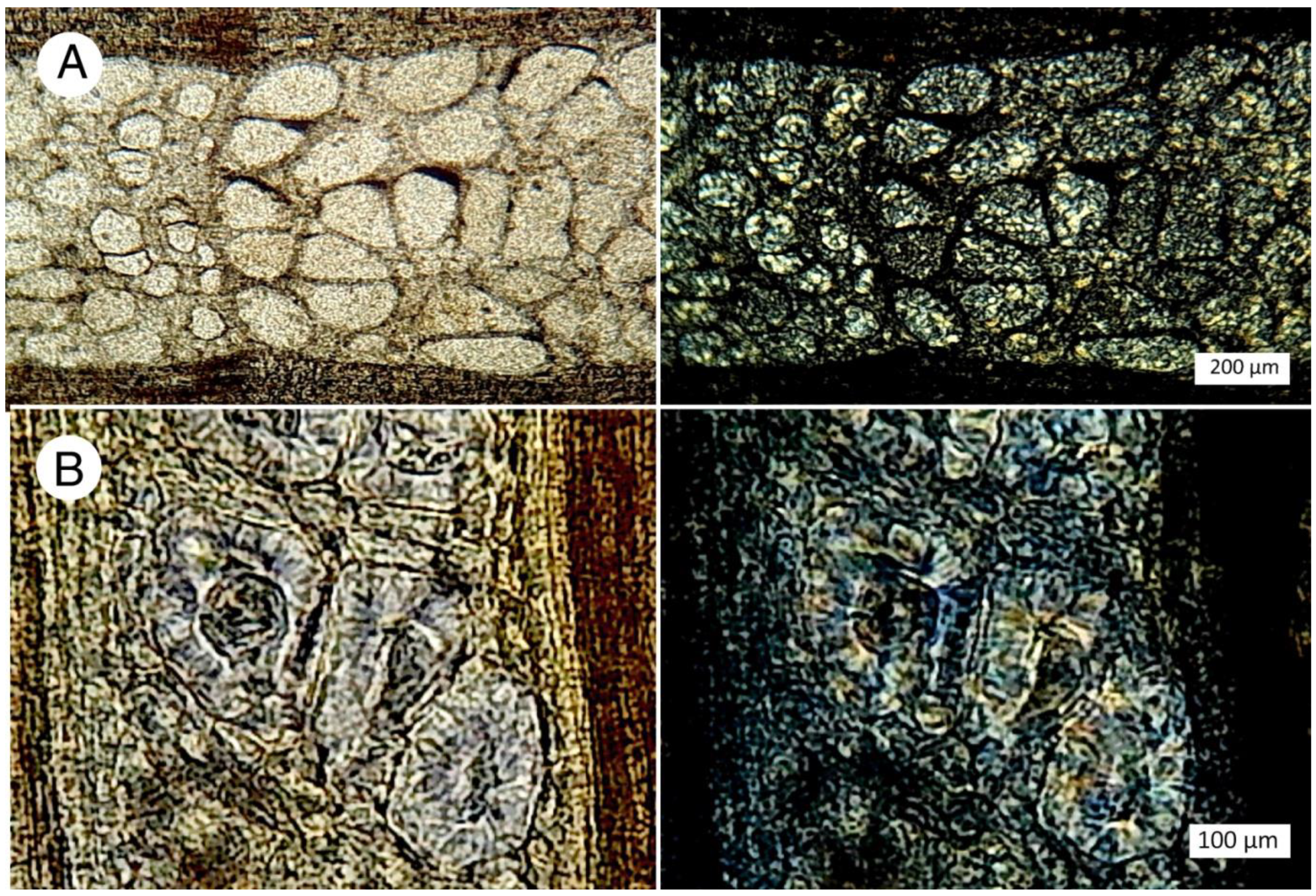 Minerals 12 00131 g012 550