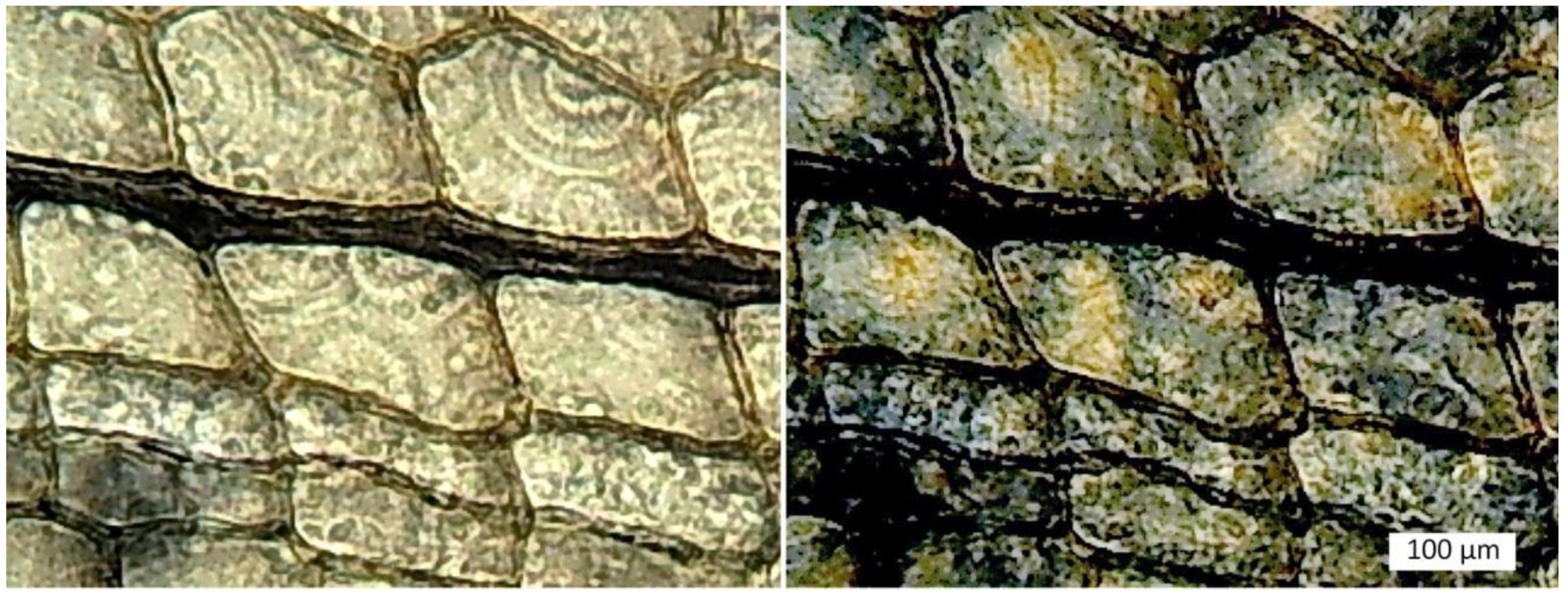 Minerals 12 00131 g014 550