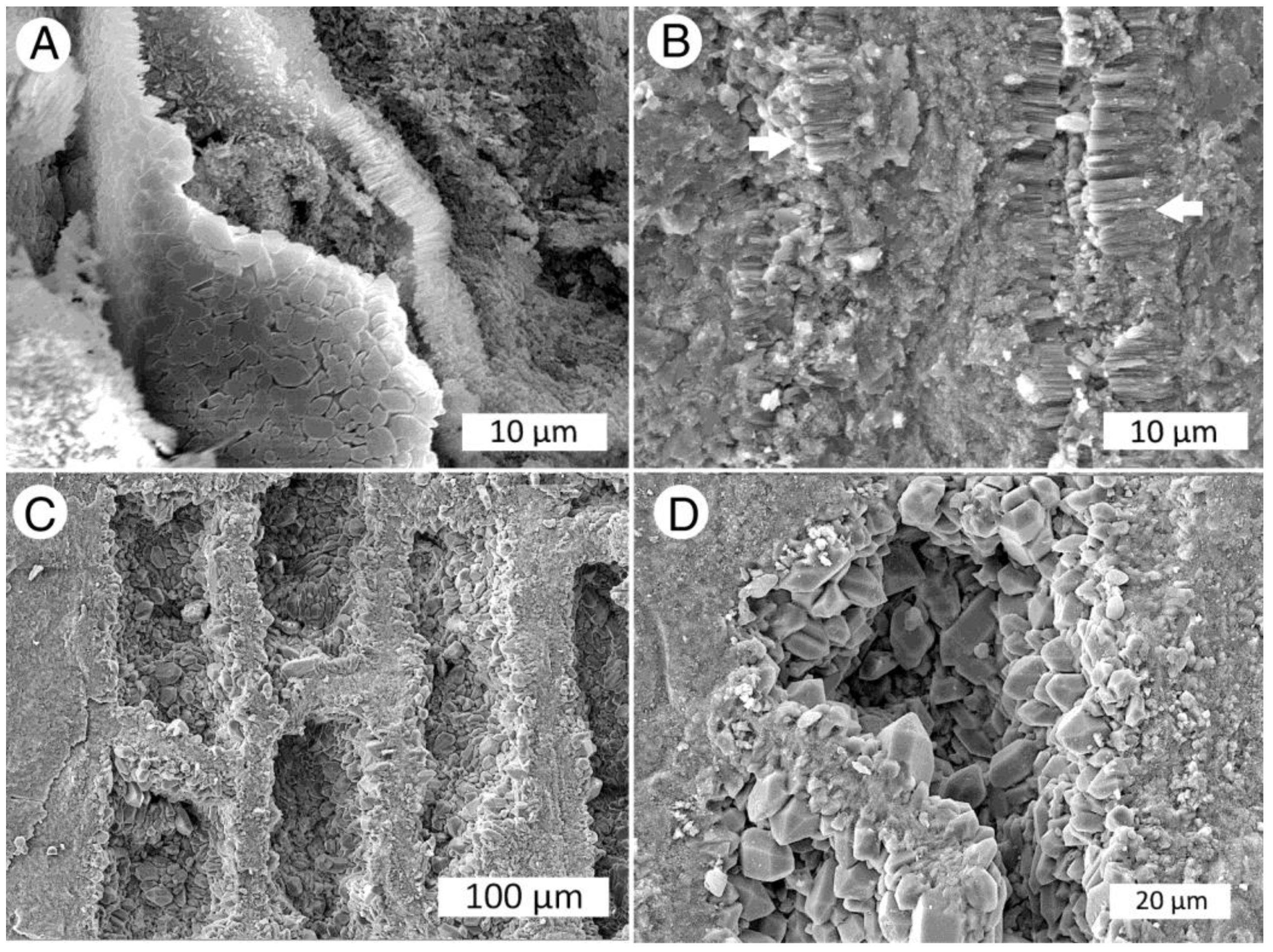 Minerals 12 00131 g015 550