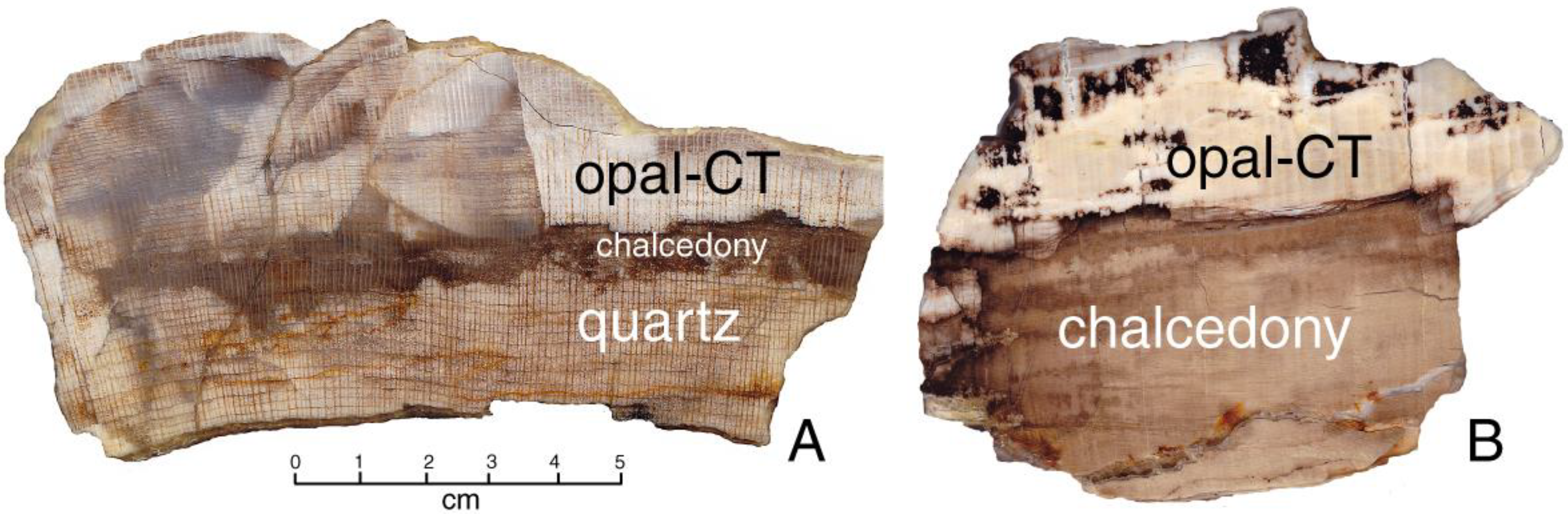 Minerals 12 00131 g017 550